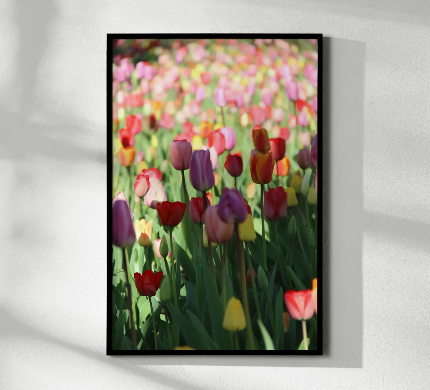 SpringTime2 poster van DragonFly