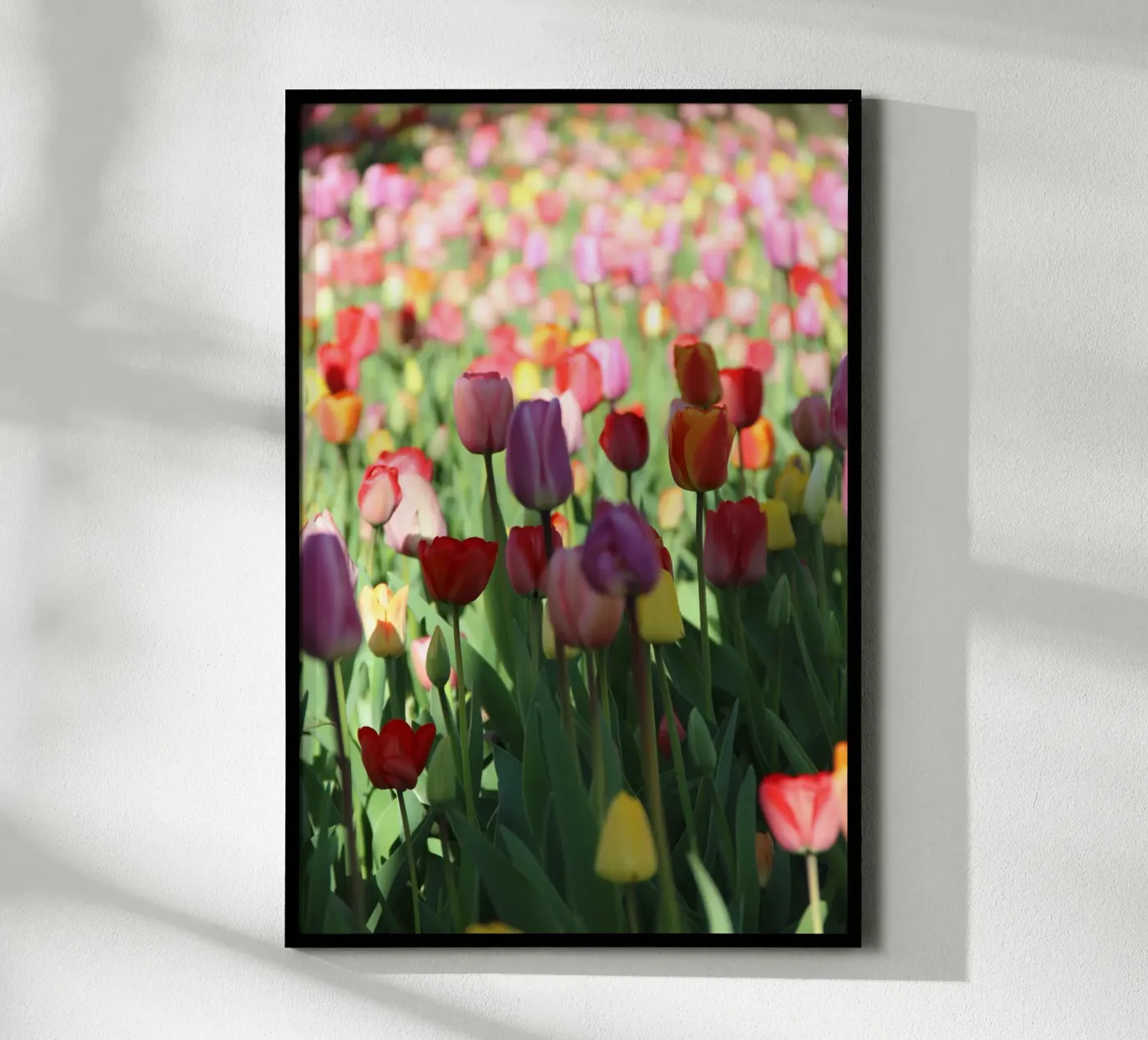 SpringTime2 poster by DragonFly