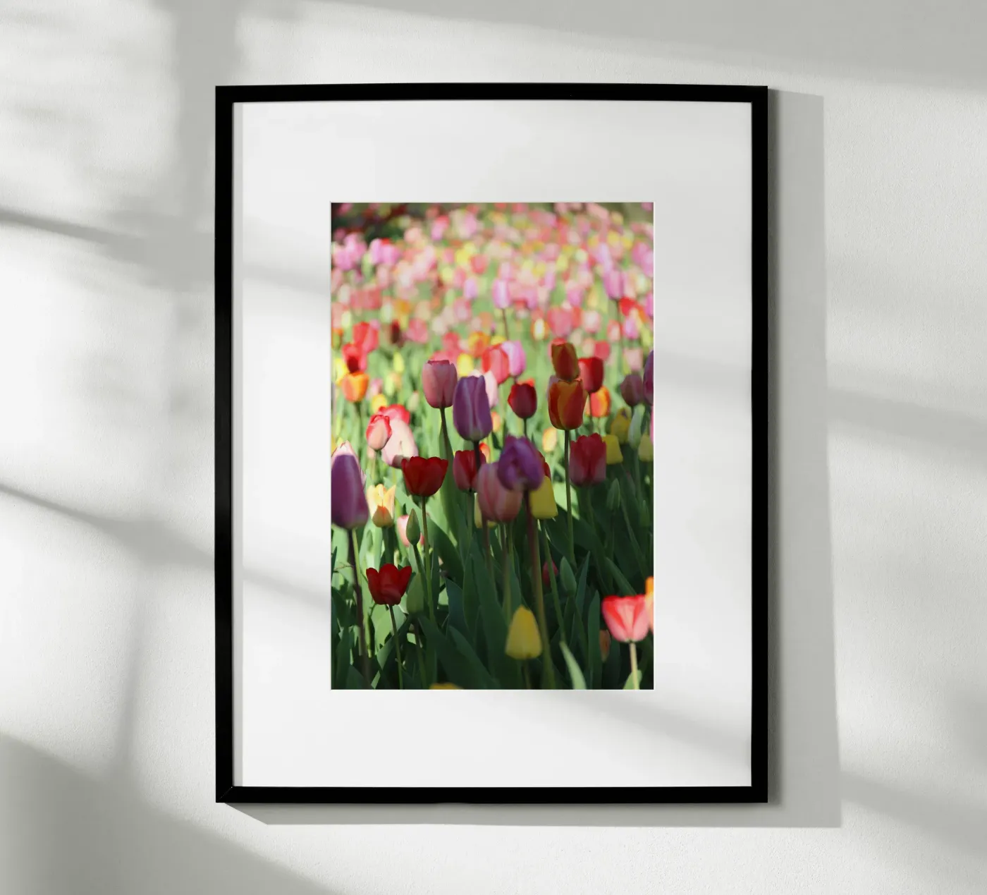 SpringTime2 poster van DragonFly