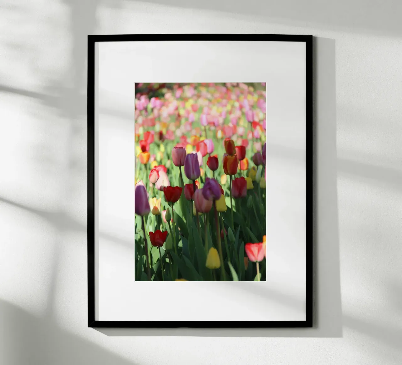 SpringTime2 poster van DragonFly