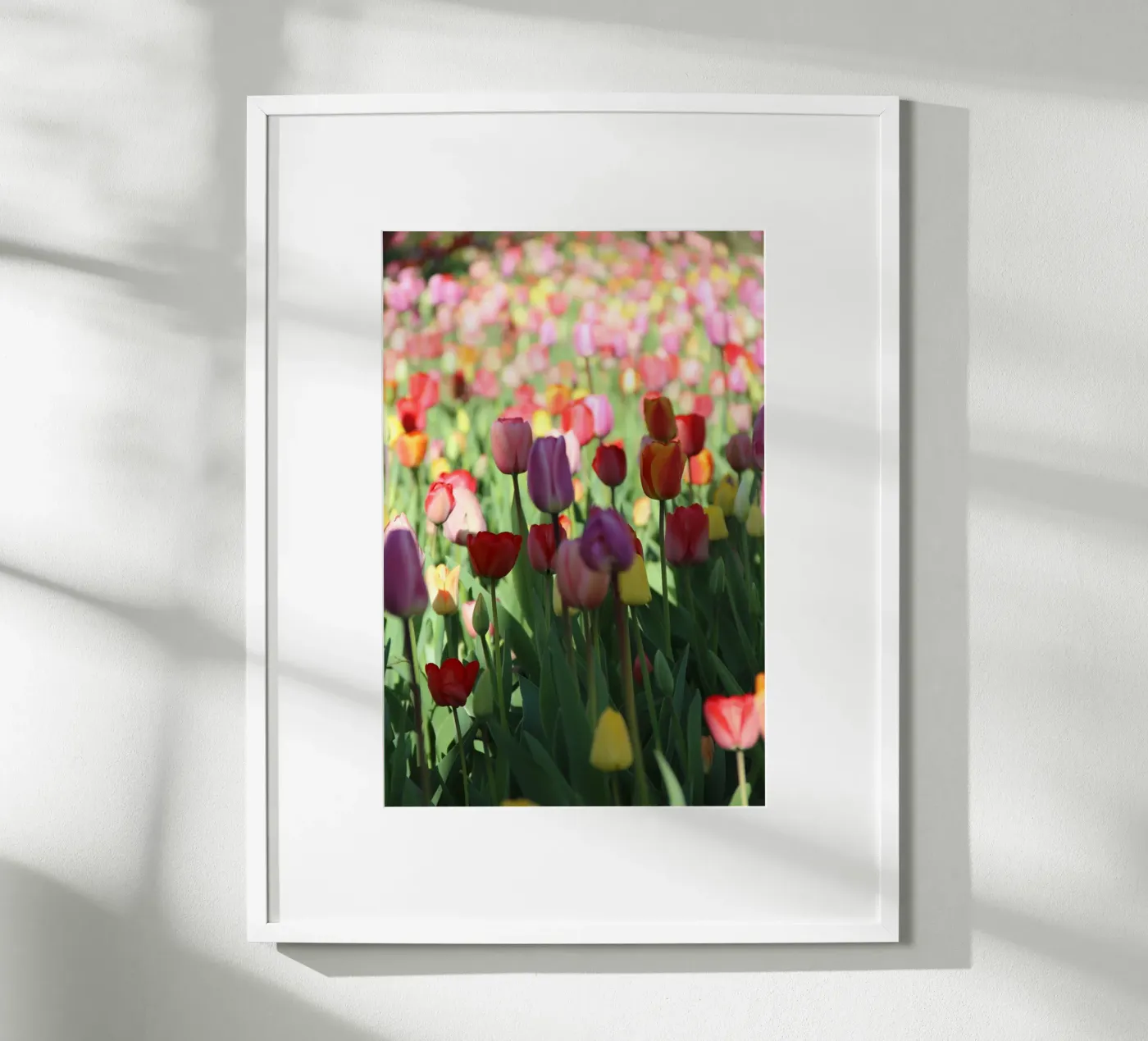 SpringTime2 poster van DragonFly