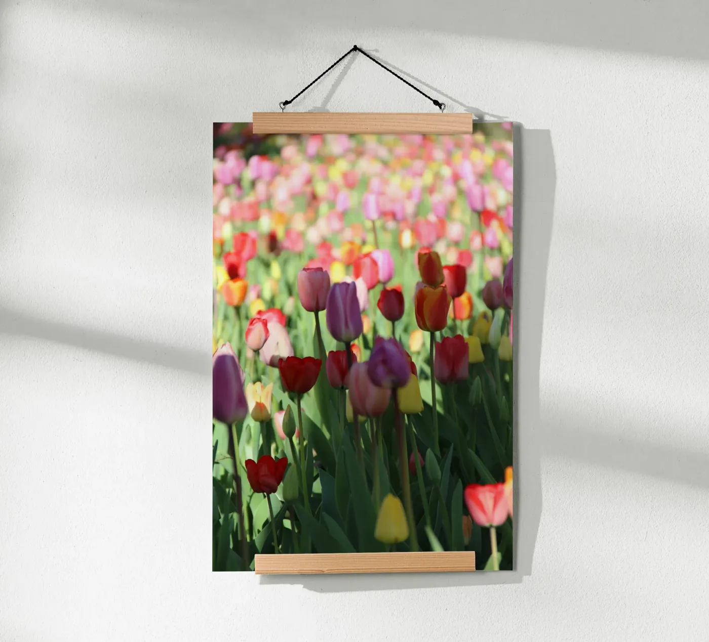 SpringTime2 poster van DragonFly