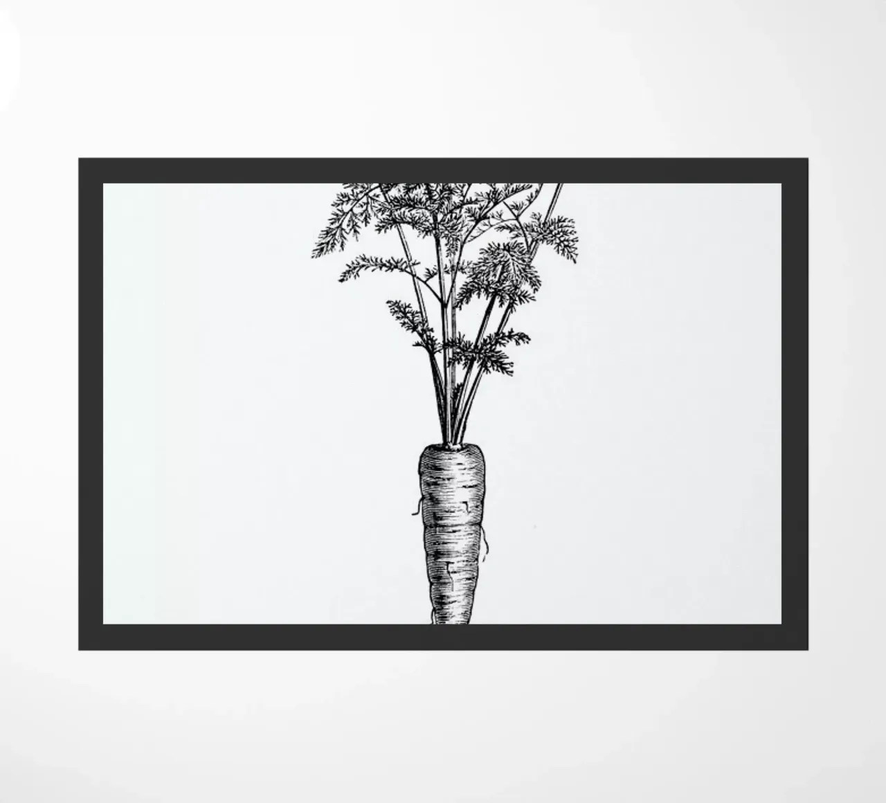 Carrot zerbino da Flora & Fauna