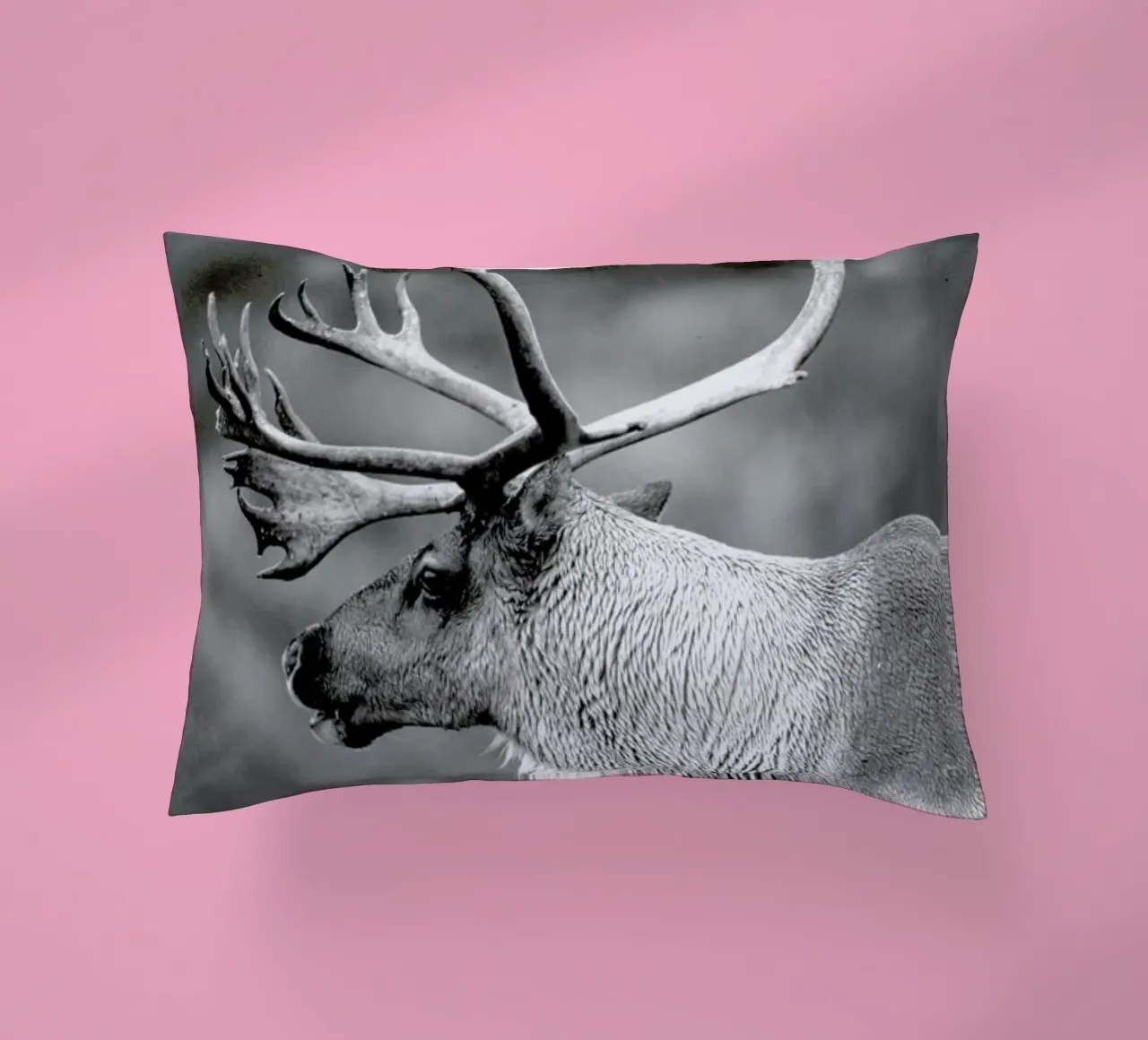 Caribou cuscino da Natural Kingdom