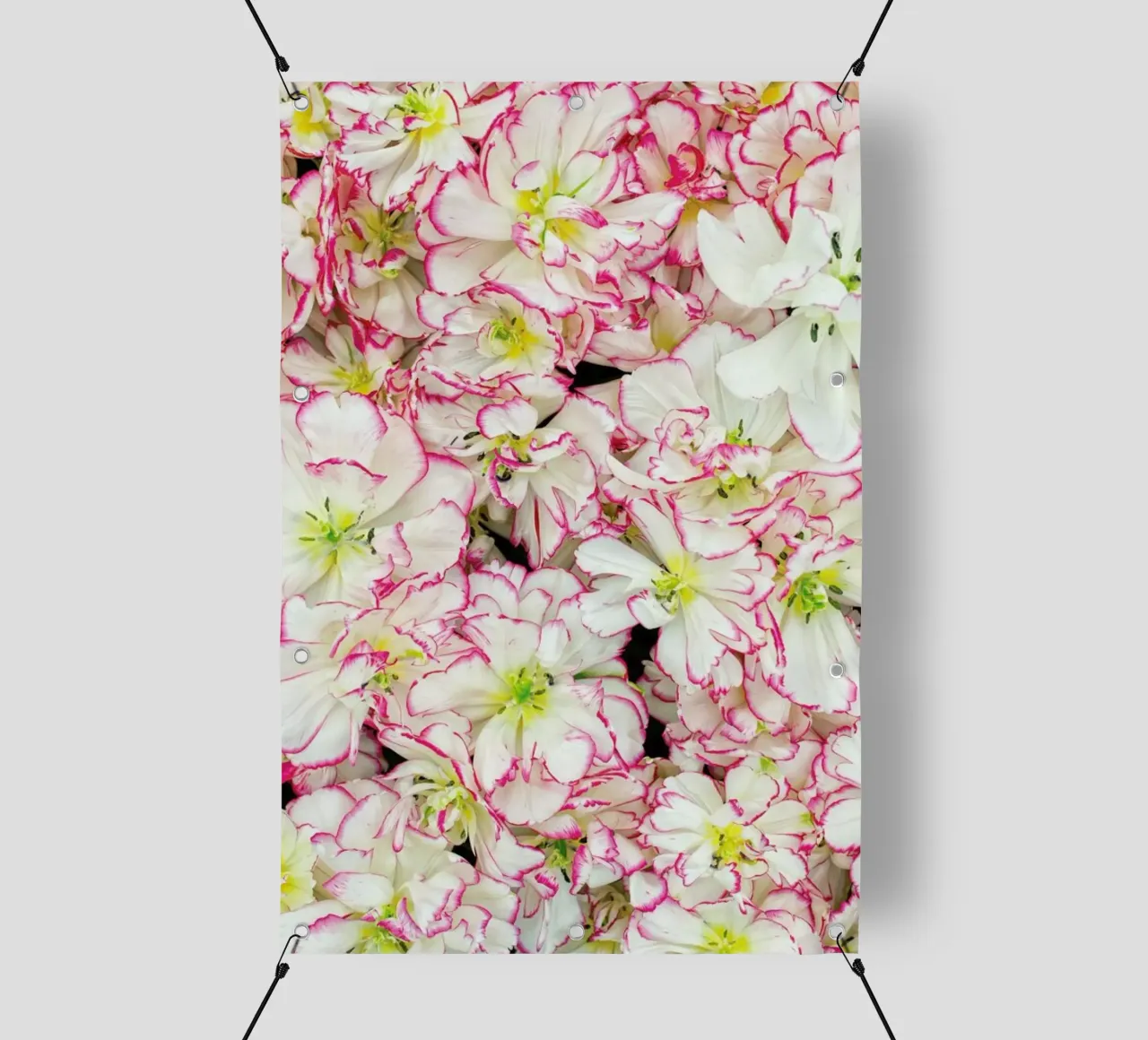 Romantic Tulips telo in pvc da Curious Collections by Marielle Leenders