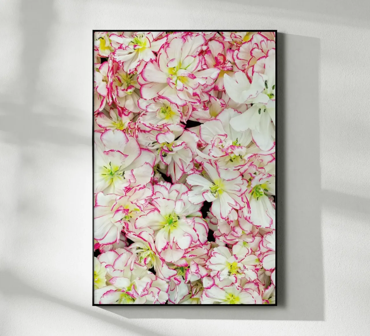 Romantic Tulips plexiglass da Curious Collections by Marielle Leenders