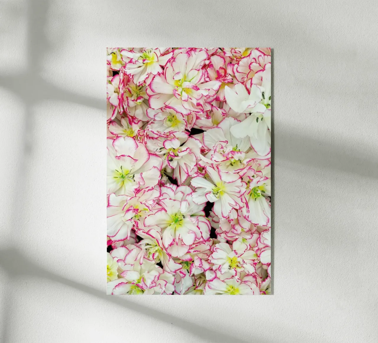 Romantic Tulips plexiglass da Curious Collections by Marielle Leenders