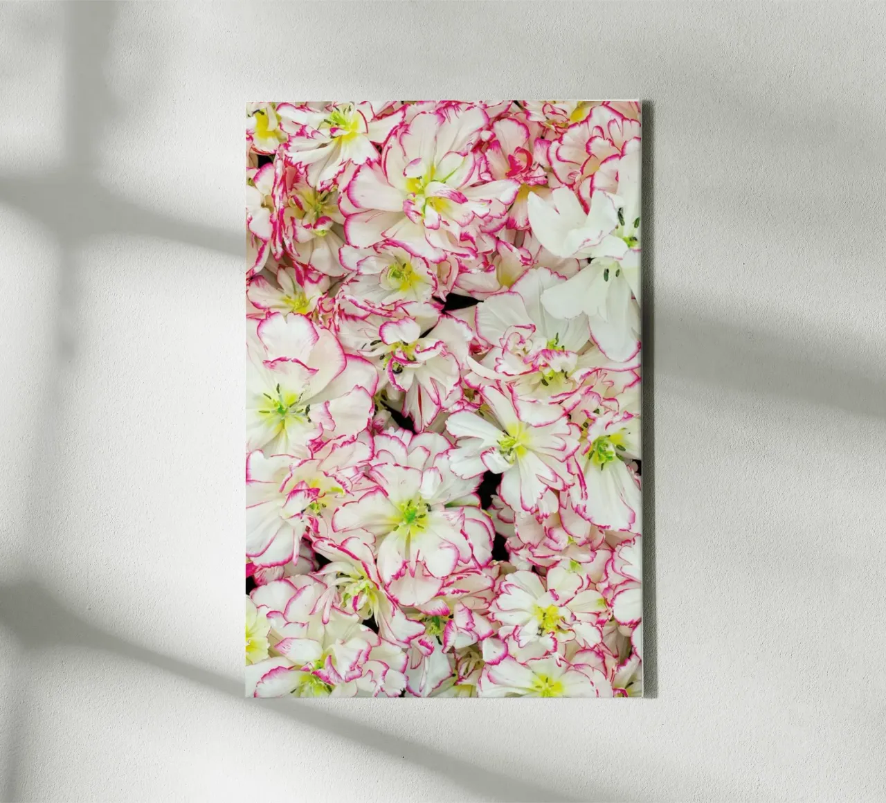 Romantic Tulips tela con Cornice a cassetta da Curious Collections by Marielle Leenders
