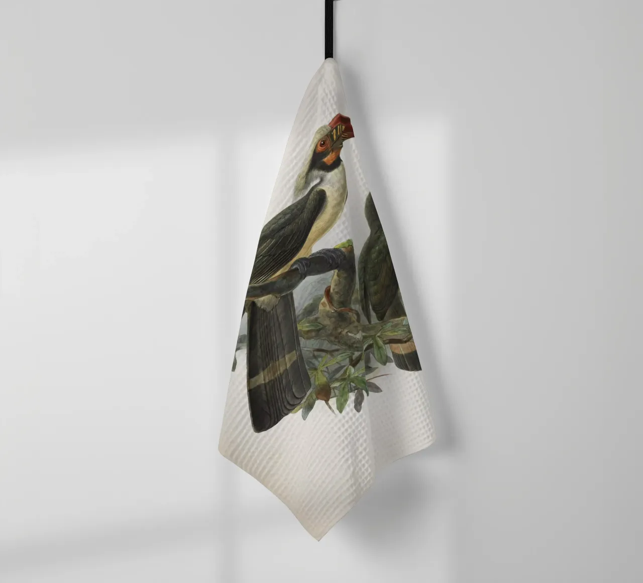 Vintage Keulemans 1 Penelopides Manillae canovaccio da cucina da Vintage Print Collection