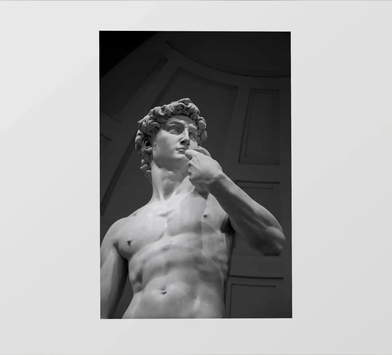 michelangelo telo in pvc da Trending Art Company