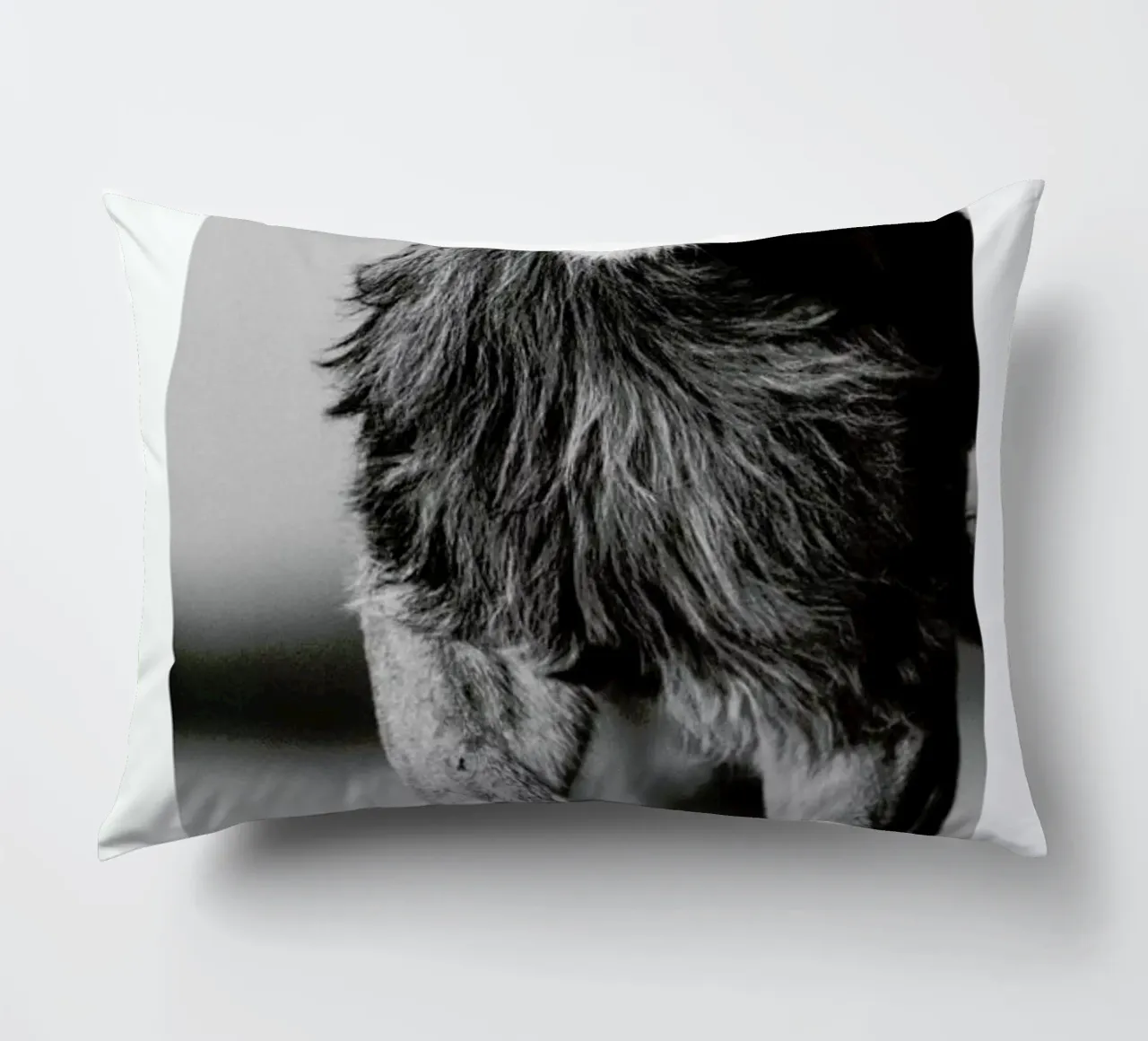 Lion Sprint cuscino da Natural Kingdom