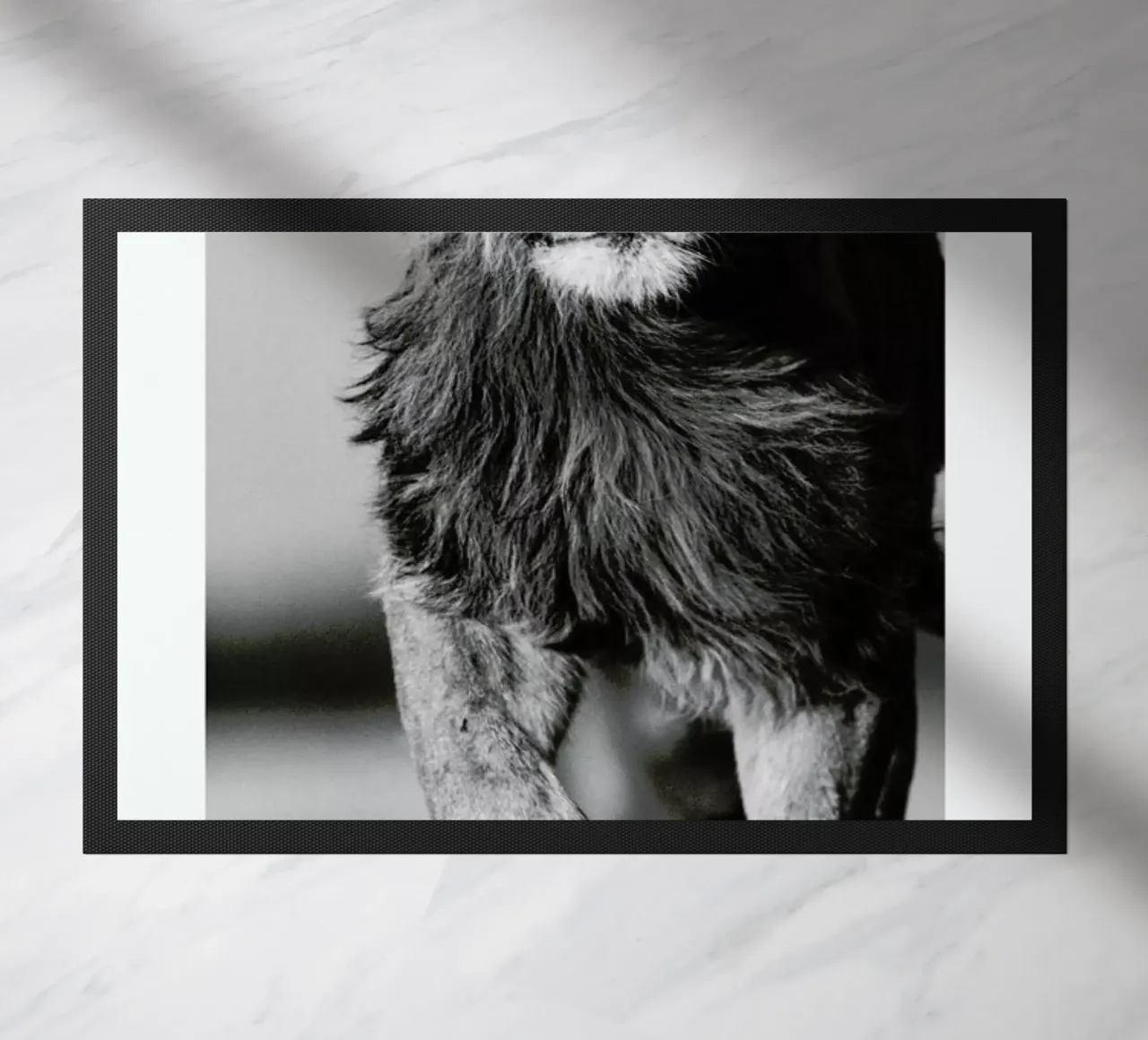 Lion Sprint zerbino da Natural Kingdom