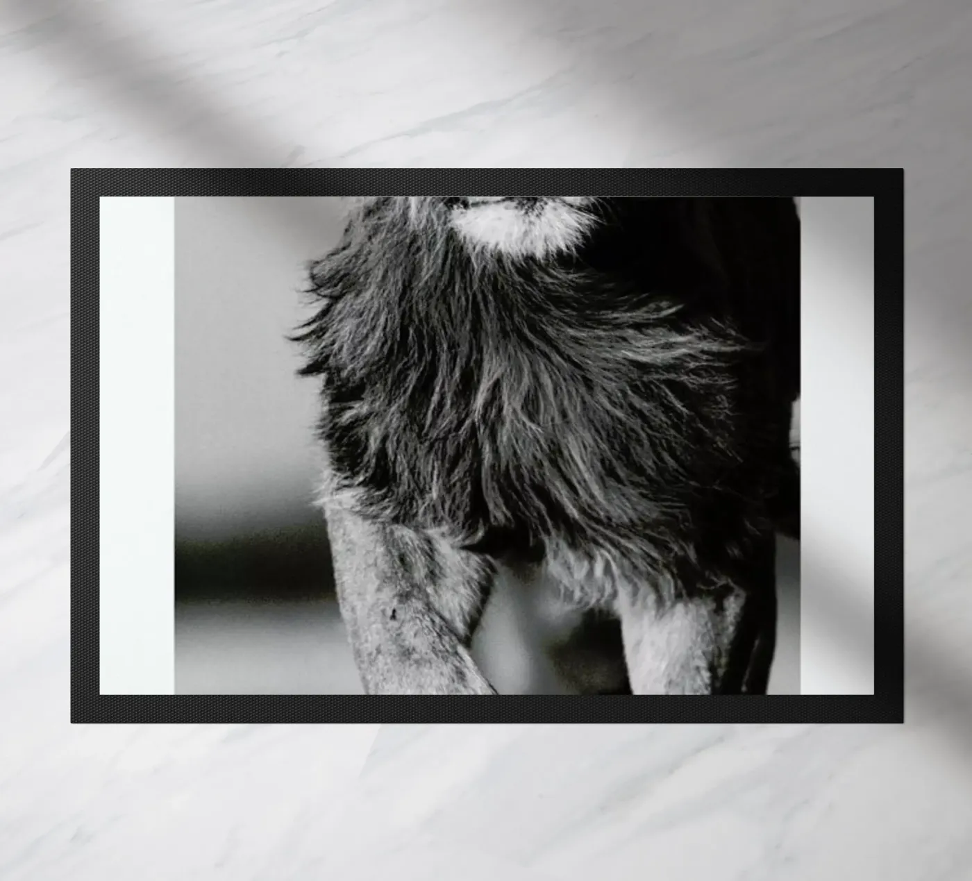 Lion Sprint zerbino da Natural Kingdom