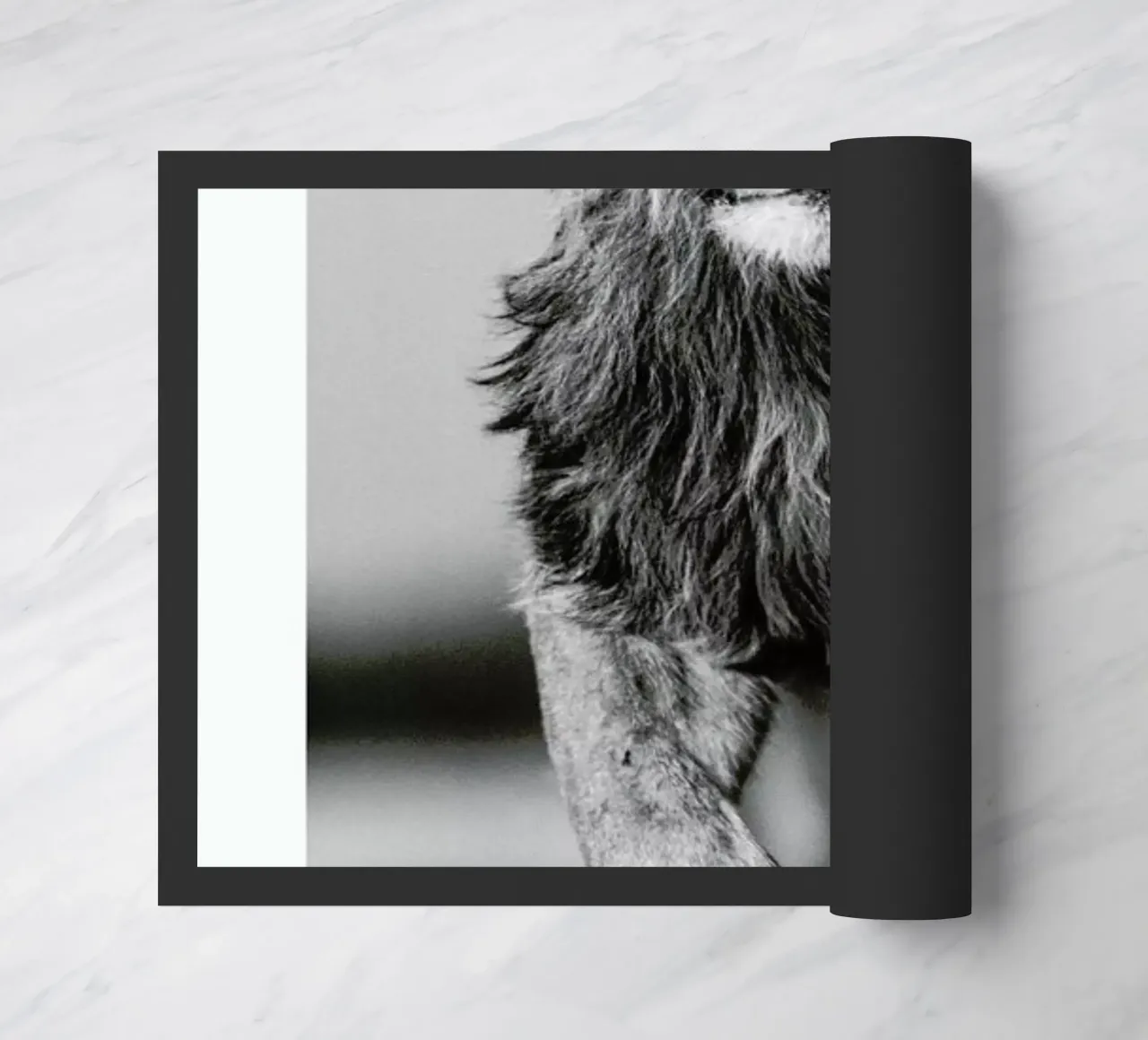 Lion Sprint zerbino da Natural Kingdom