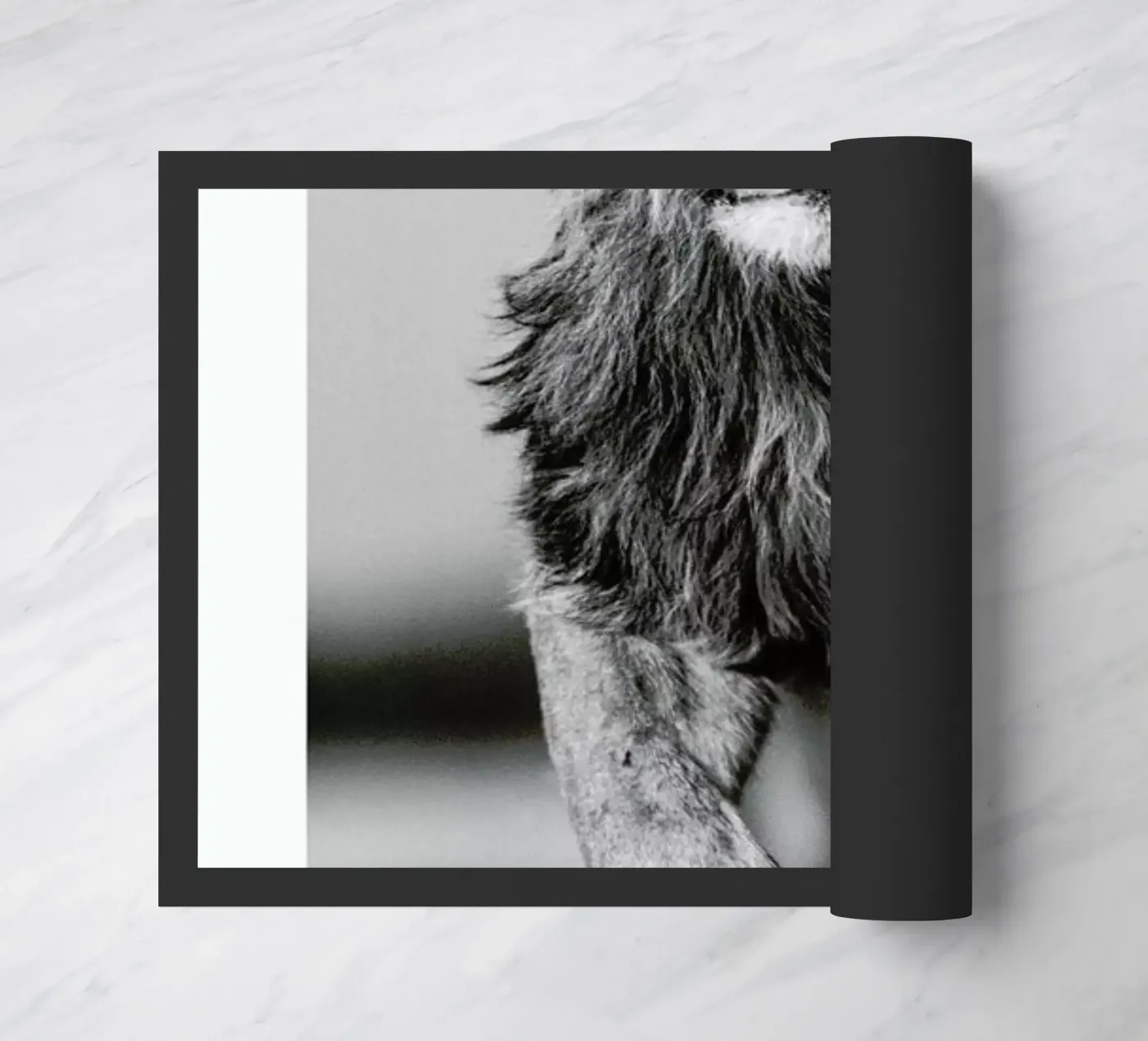 Lion Sprint zerbino da Natural Kingdom