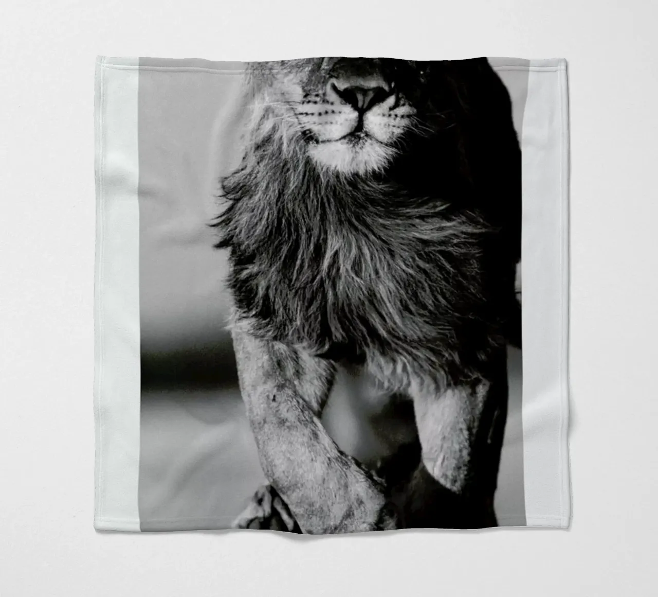 Lion Sprint coperta in pile da Natural Kingdom