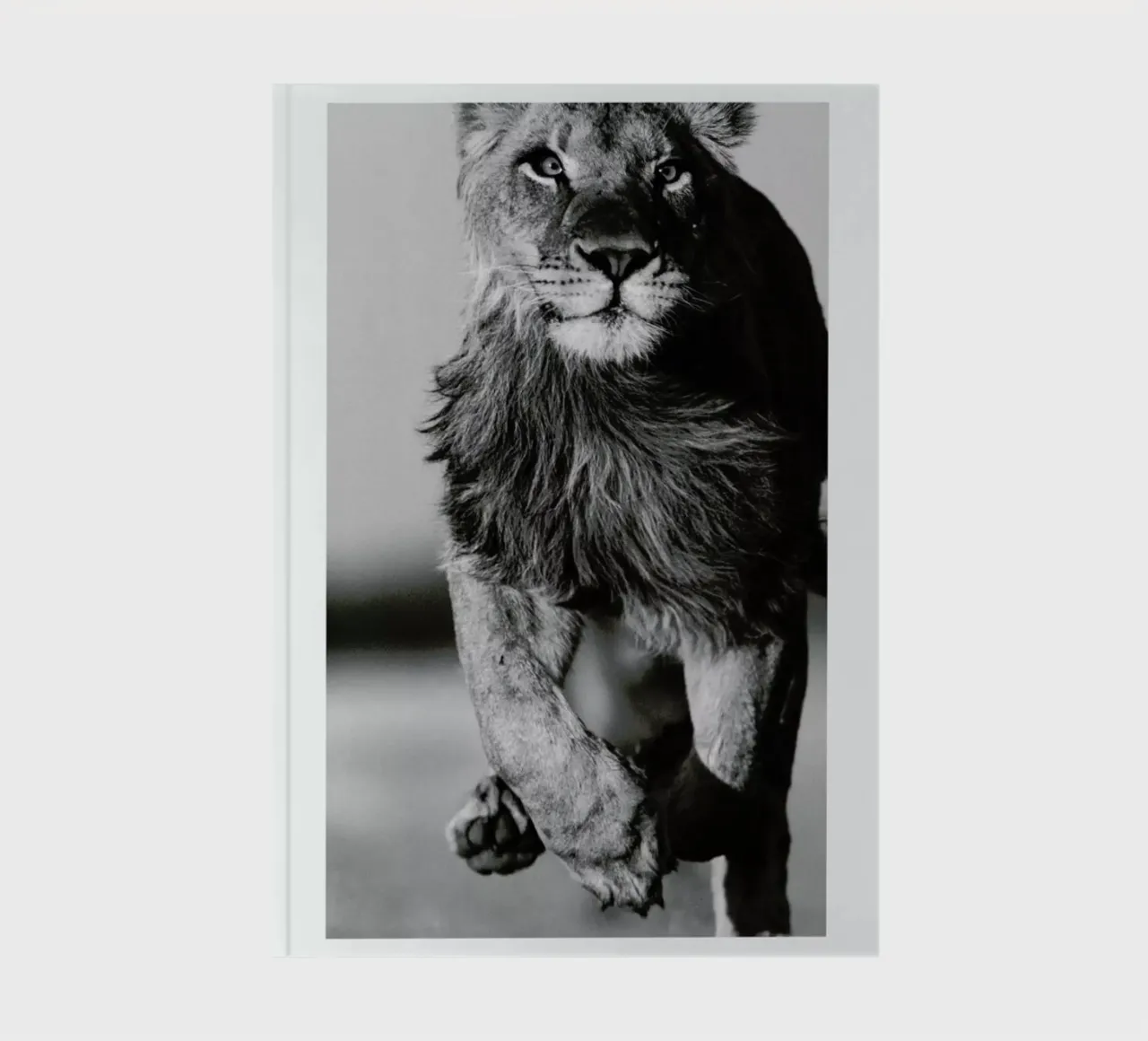 Lion Sprint notebook by Natural Kingdom