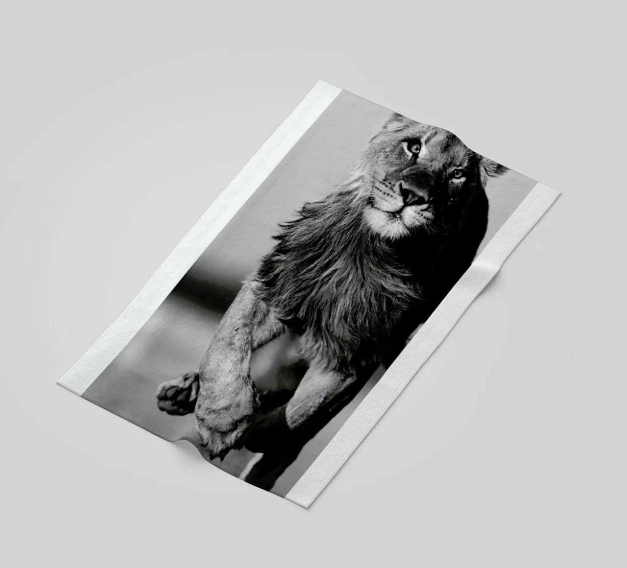 Lion Sprint telo mare da Natural Kingdom