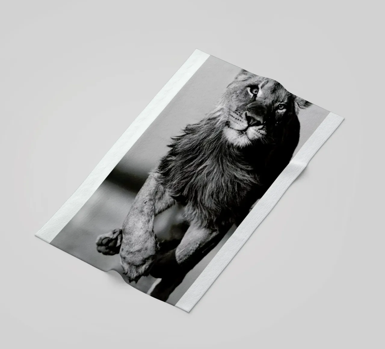 Lion Sprint telo mare da Natural Kingdom