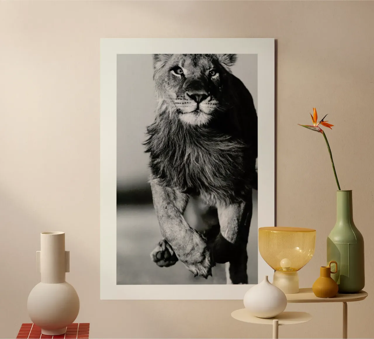 Lion Sprint alluminio dibond da Natural Kingdom