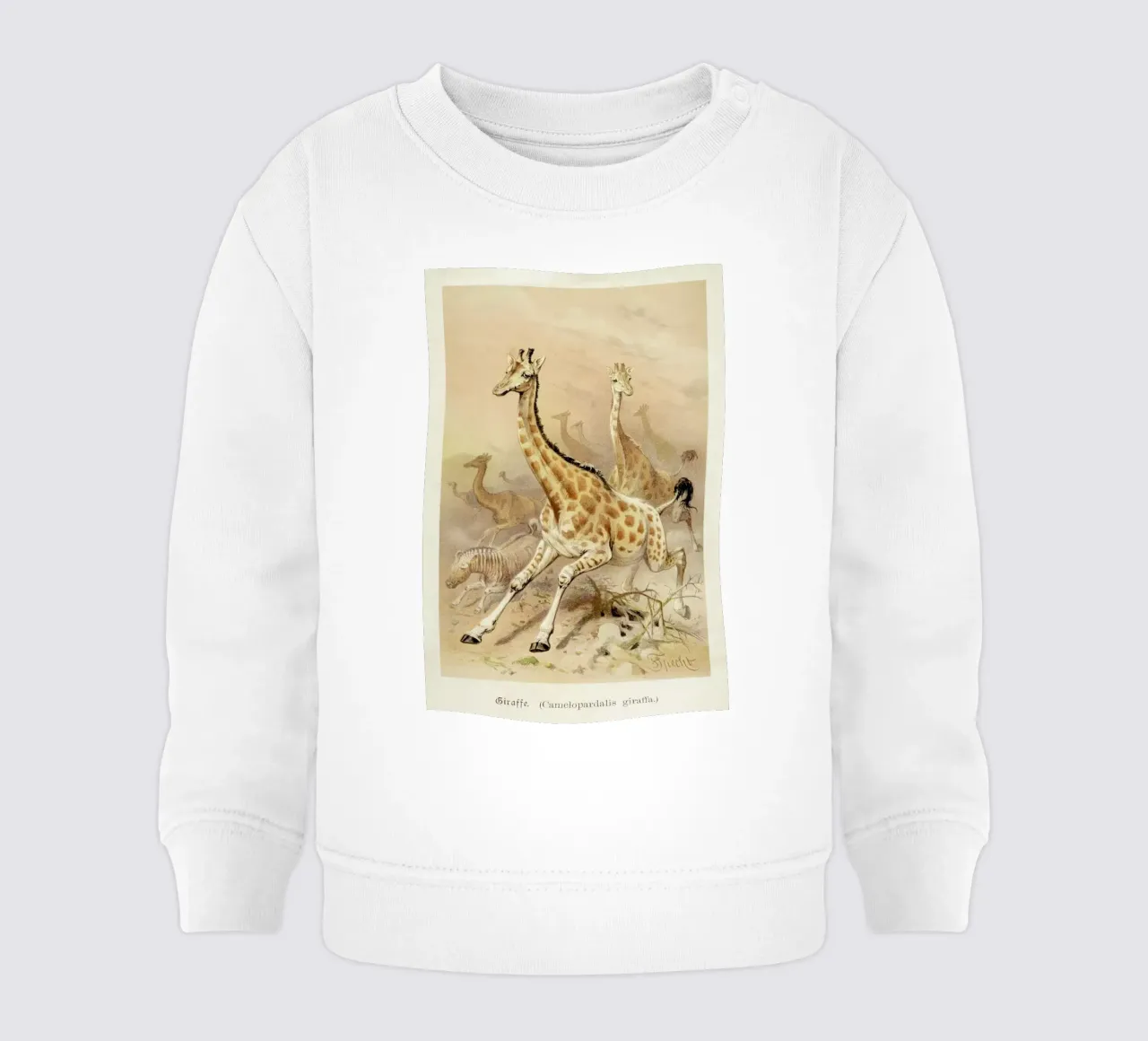 Racing Giraffes felpa neonato da Flora & Fauna