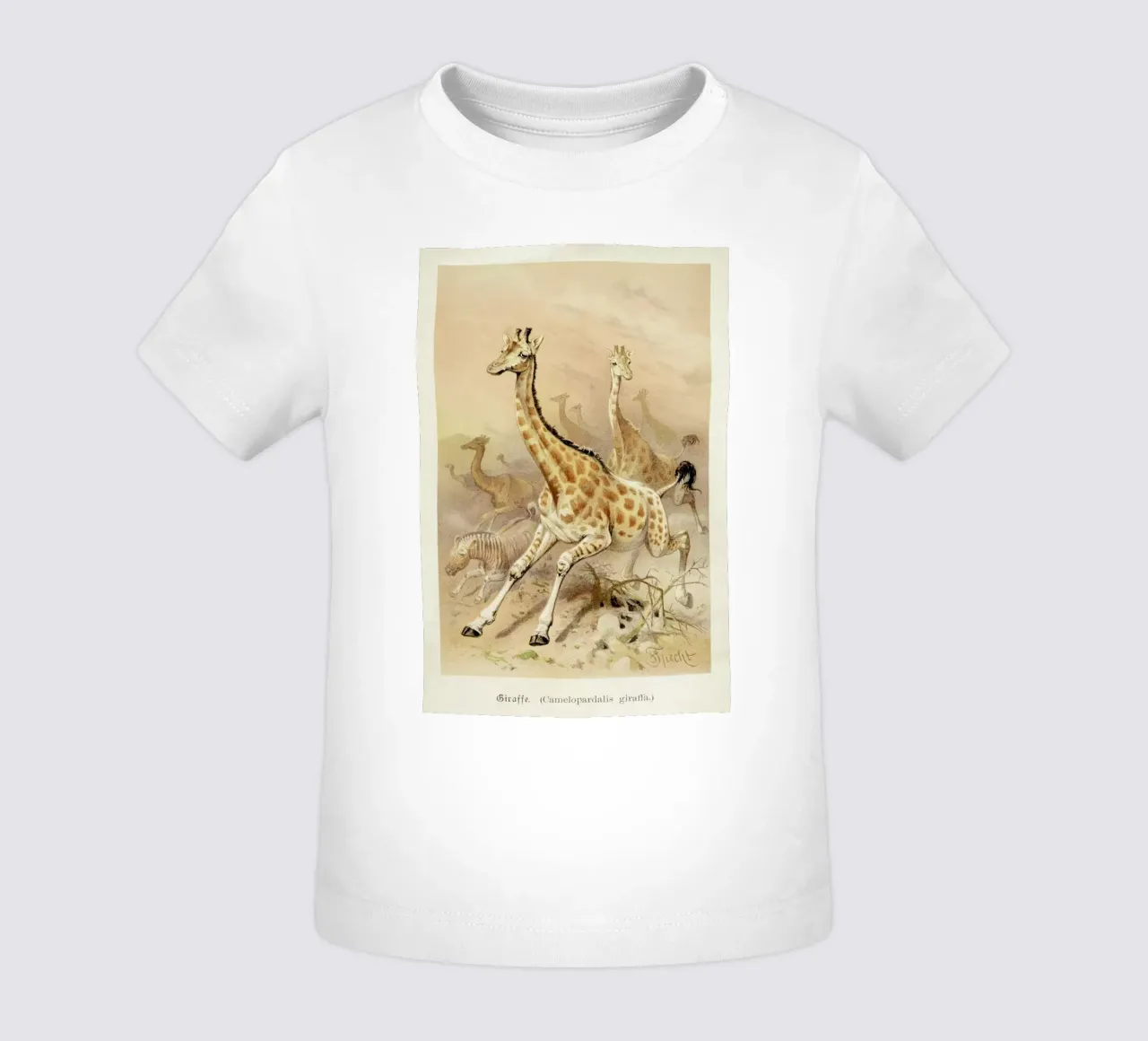 Racing Giraffes baby t-shirt by Flora & Fauna