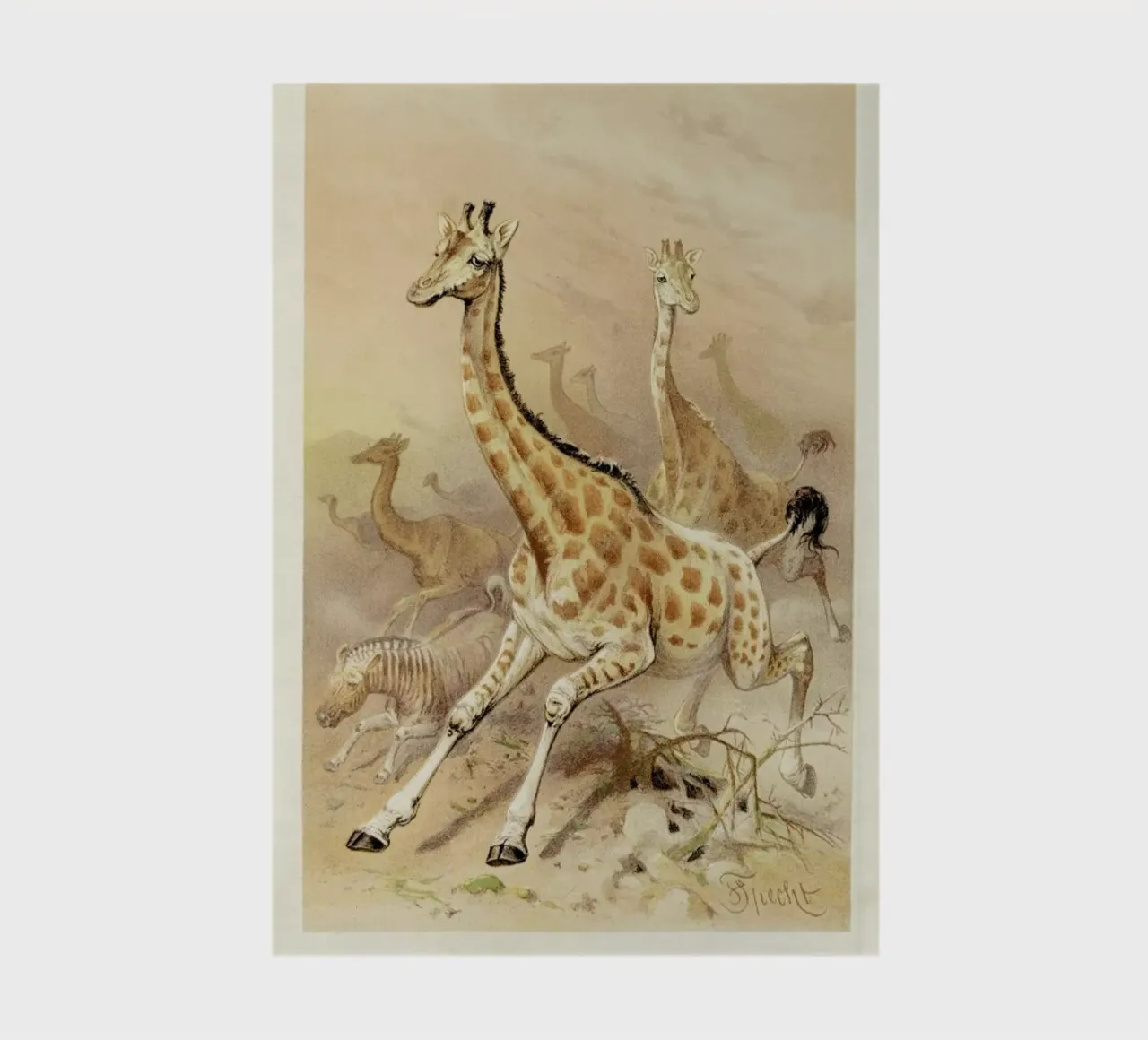 Racing Giraffes notebook by Flora & Fauna