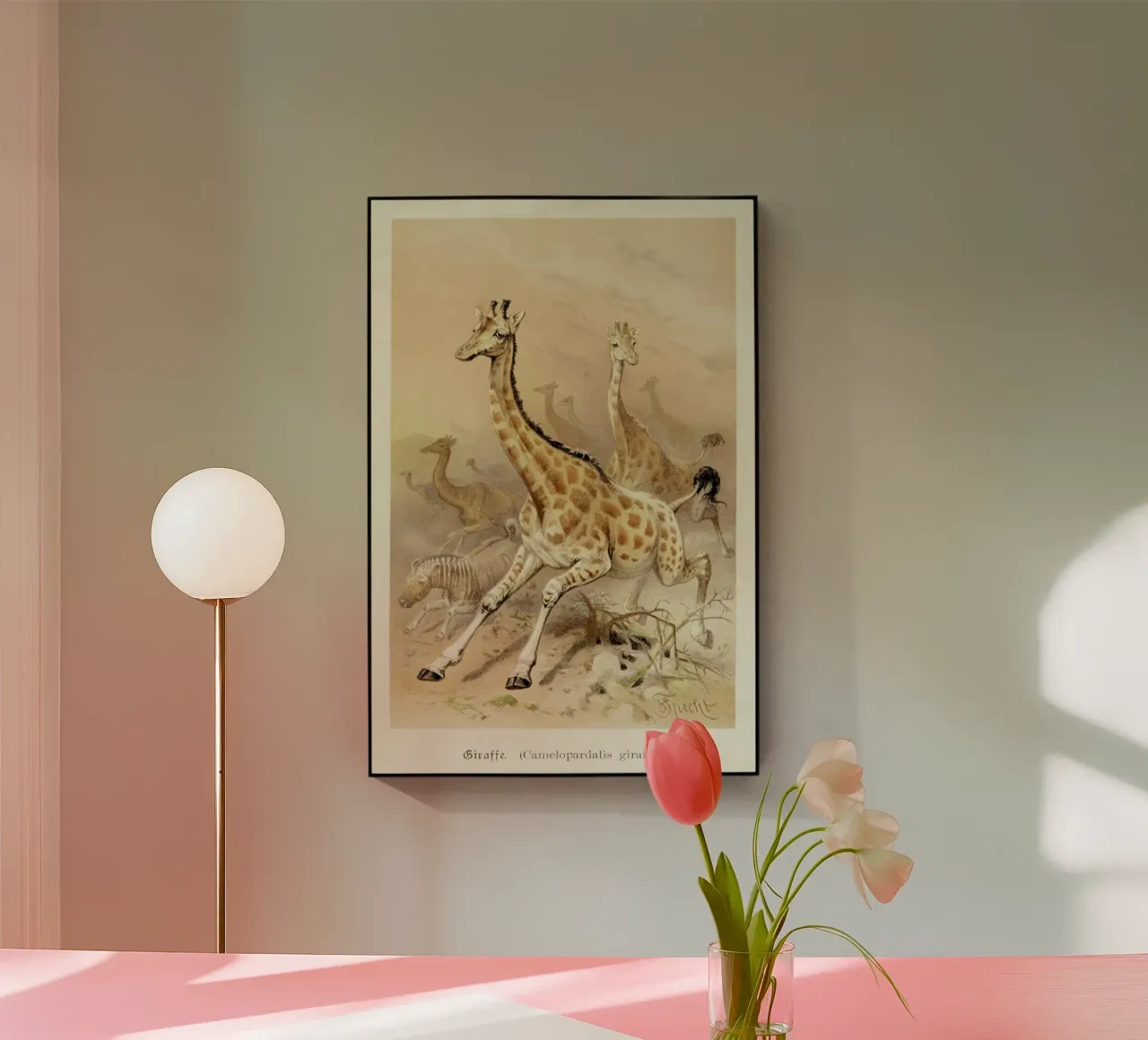 Racing Giraffes plexiglass da Flora & Fauna