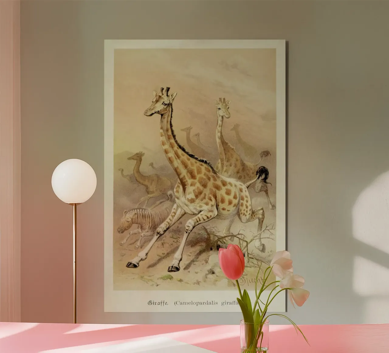 Racing Giraffes alluminio dibond da Flora & Fauna
