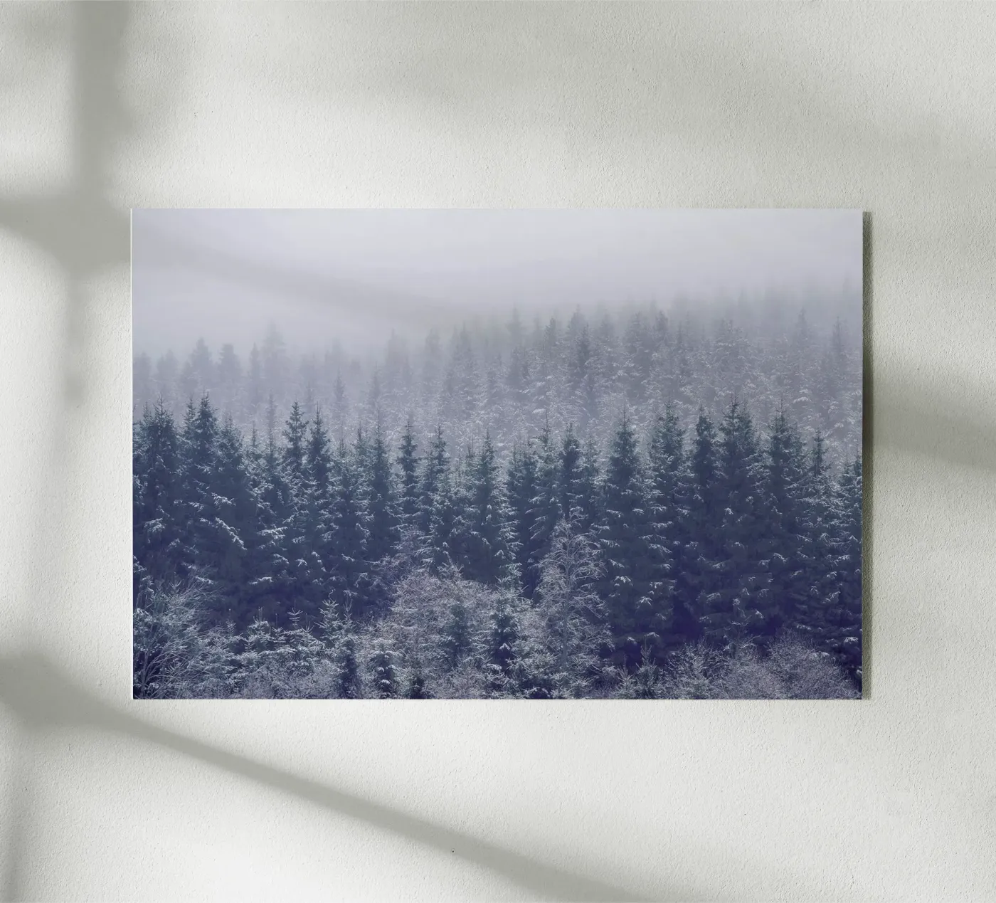 Frozen Trees - Andreas Christensen plexiglass da Pictufy