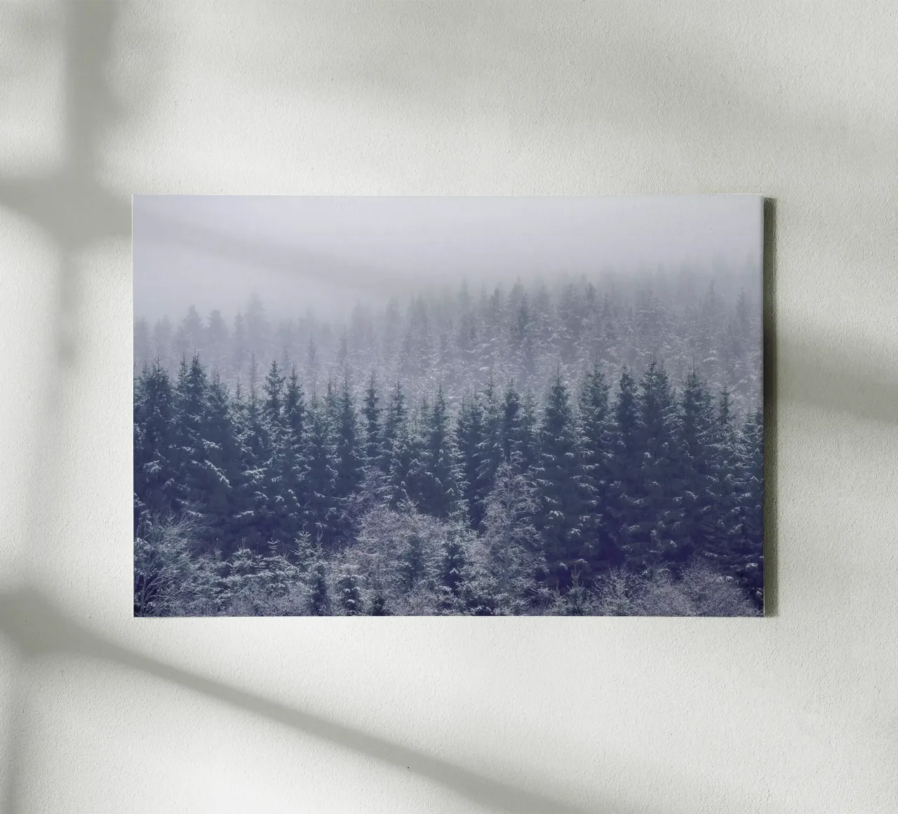 Frozen Trees - Andreas Christensen canvas by Pictufy