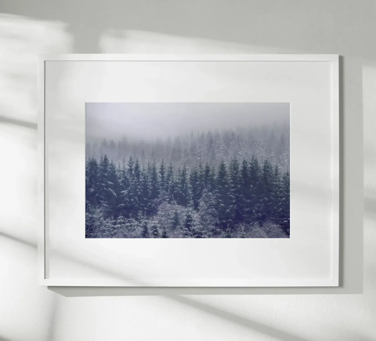 Frozen Trees - Andreas Christensen carta hahnemühle da Pictufy
