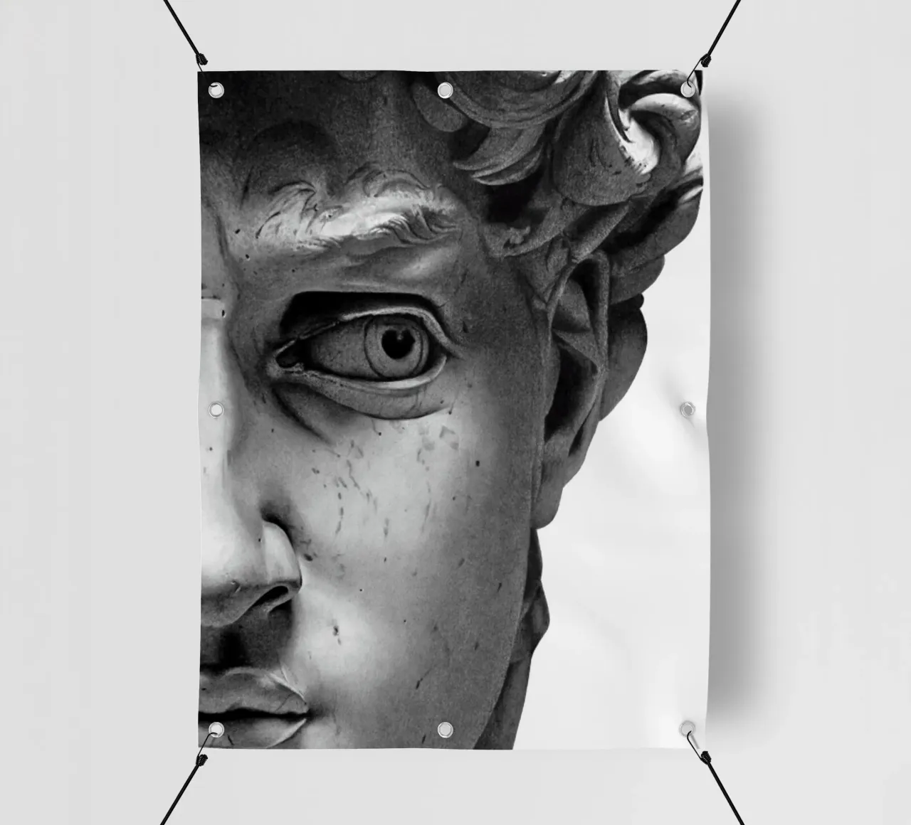 Michelangelo - DAVID telo in pvc da Trending Art Company