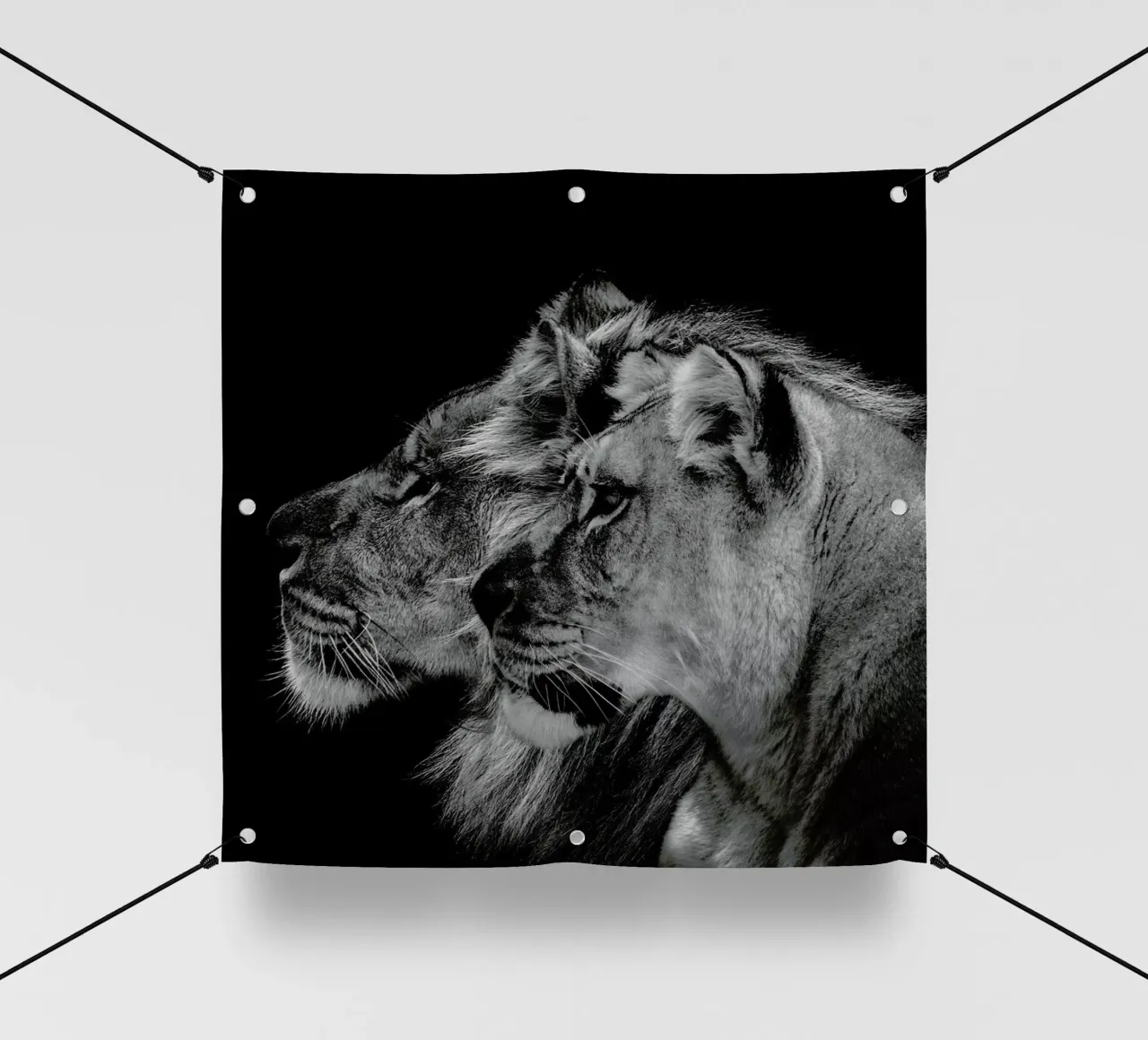 Lion Duo Profile by Lothare Dambreville telo in pvc da EyeEm Mobile GmbH