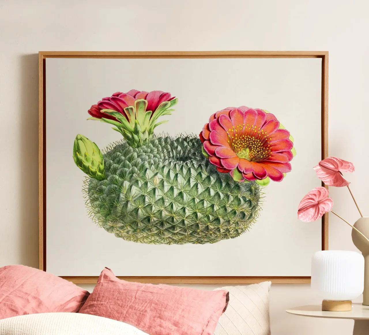 Blooming Cactus Fishhook Print Botanical Illustration tela con Cornice a cassetta da Pretty Flowers Vintage Botanicals