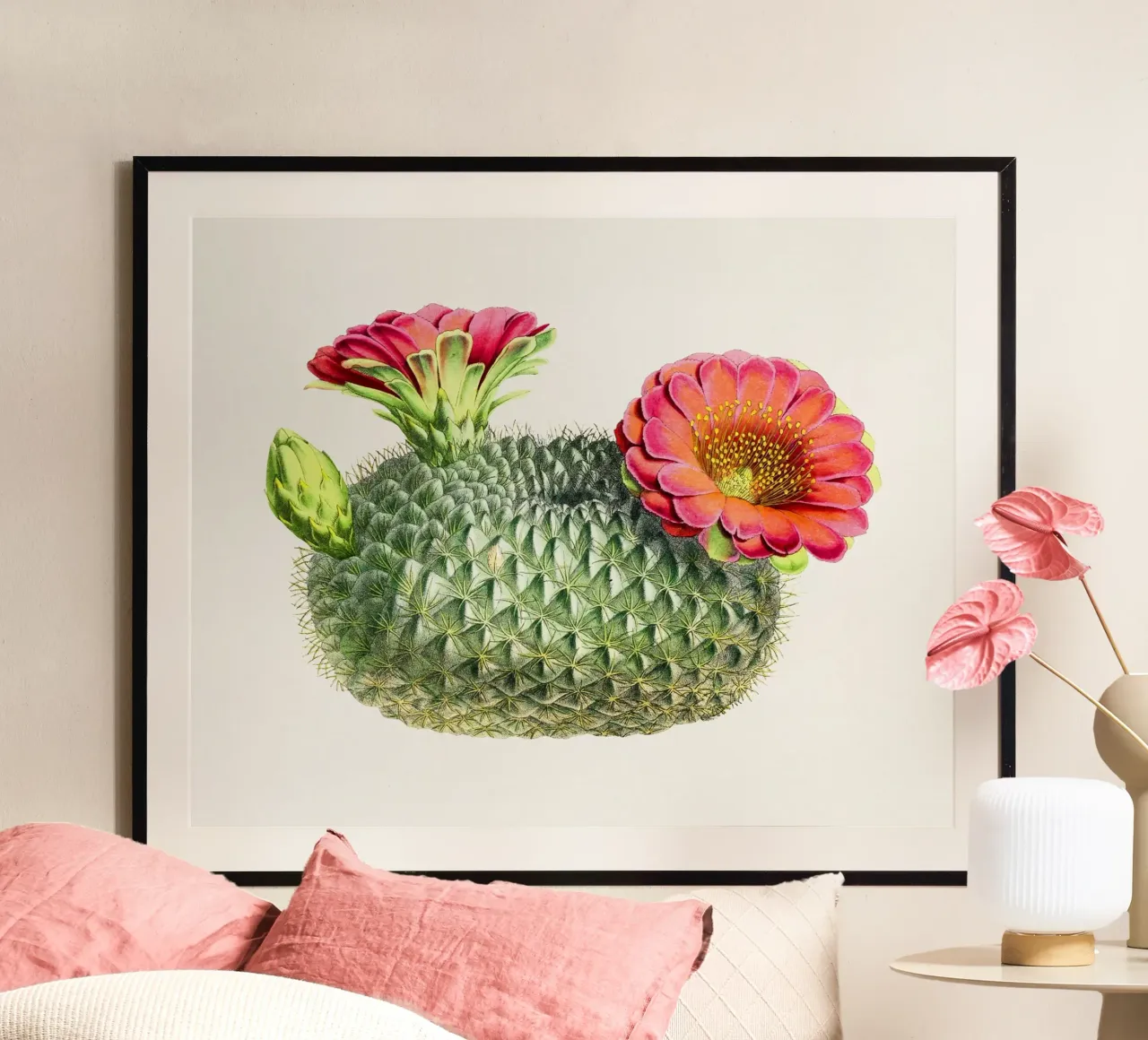 Blooming Cactus Fishhook Print Botanical Illustration carta hahnemühle da Pretty Flowers Vintage Botanicals