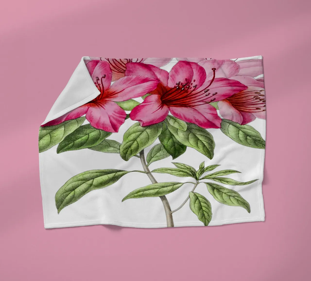 Bloom: Pink Azalea Botanical Illustration coperta in pile da Pretty Flowers Vintage Botanicals