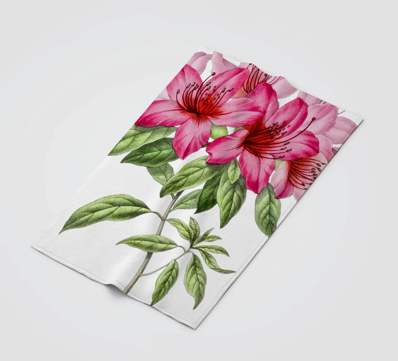 Bloom: Pink Azalea Botanical Illustration coperta in pile da Pretty Flowers Vintage Botanicals