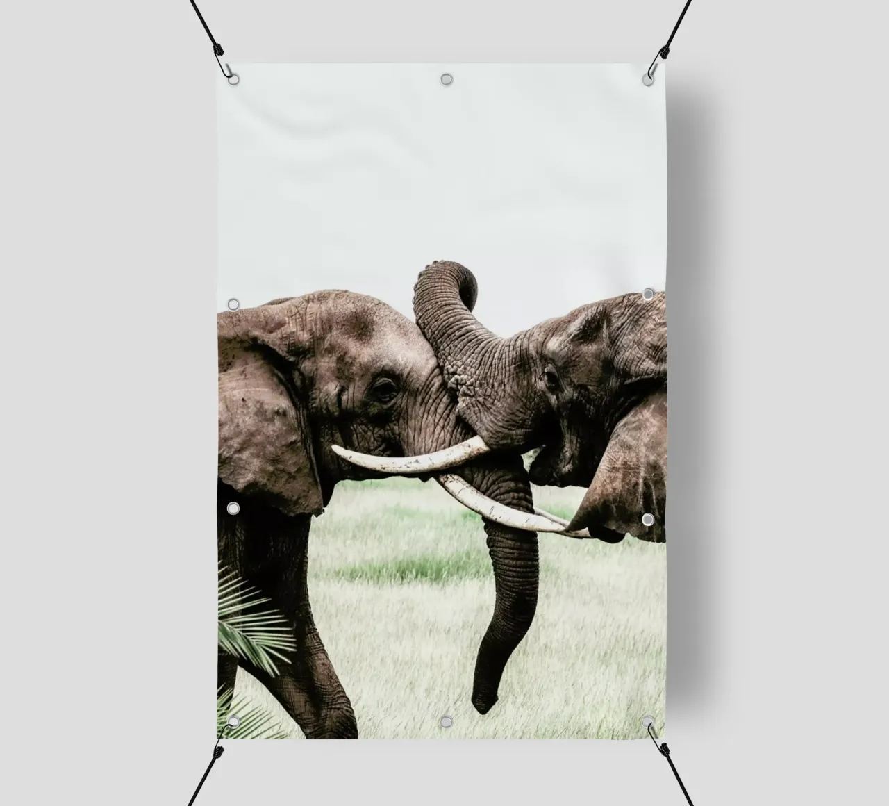Elephants at Play telo in pvc da Natural Kingdom
