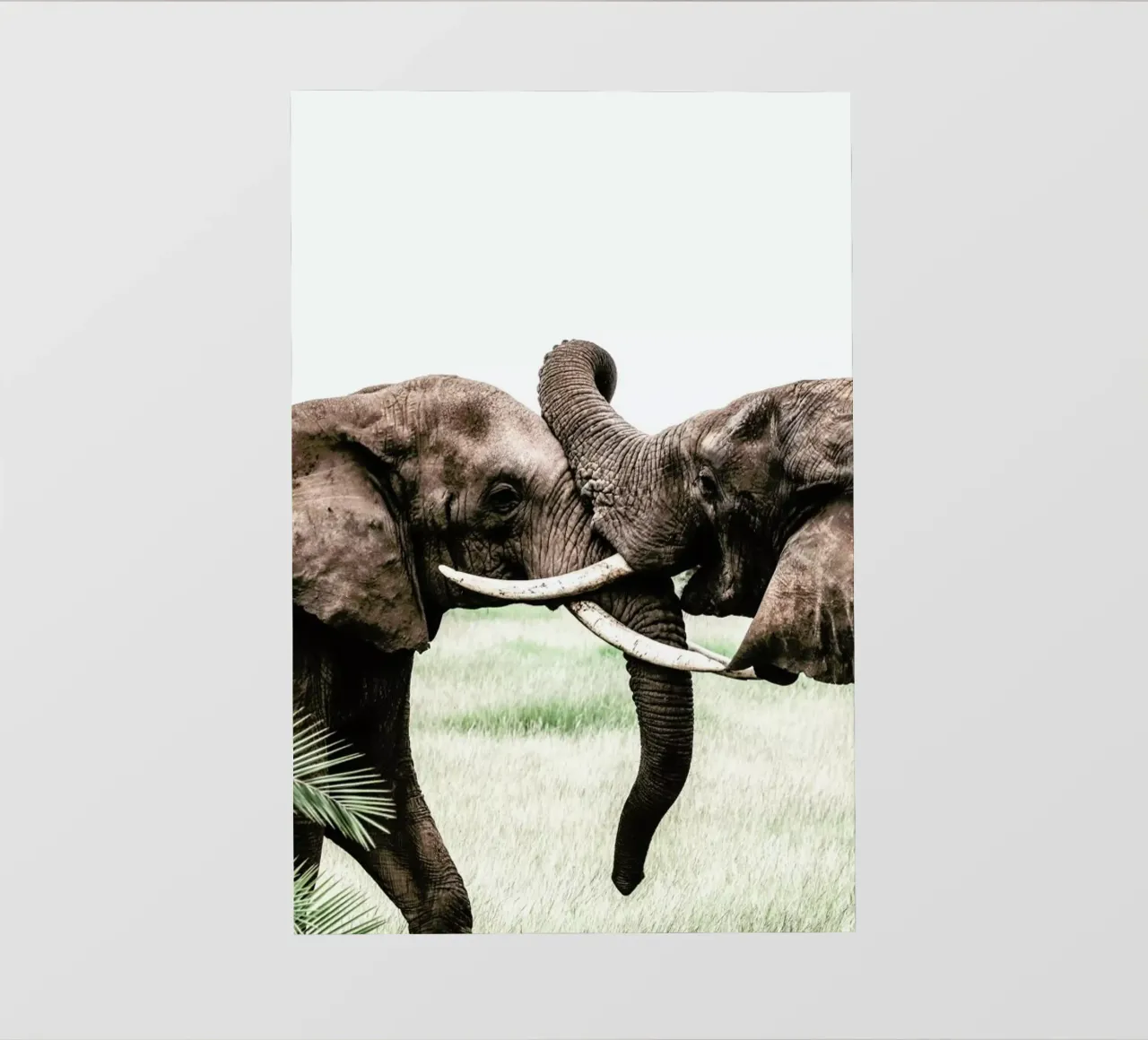 Elephants at Play telo in pvc da Natural Kingdom