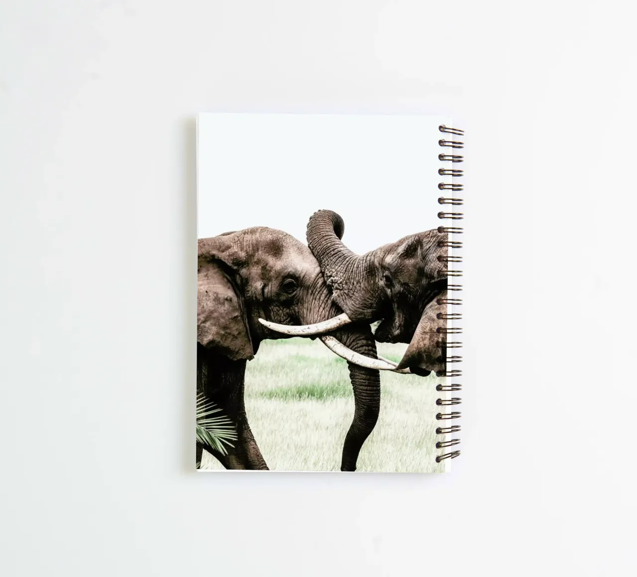 Elephants at Play spiral notebook by Natural Kingdom