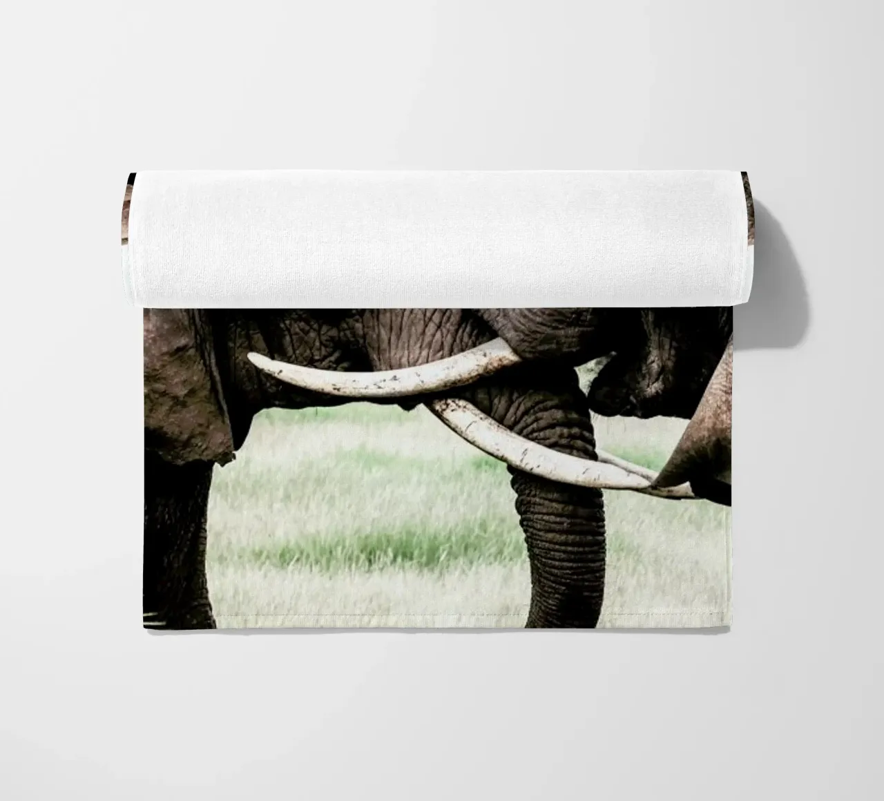 Elephants at Play telo mare da Natural Kingdom