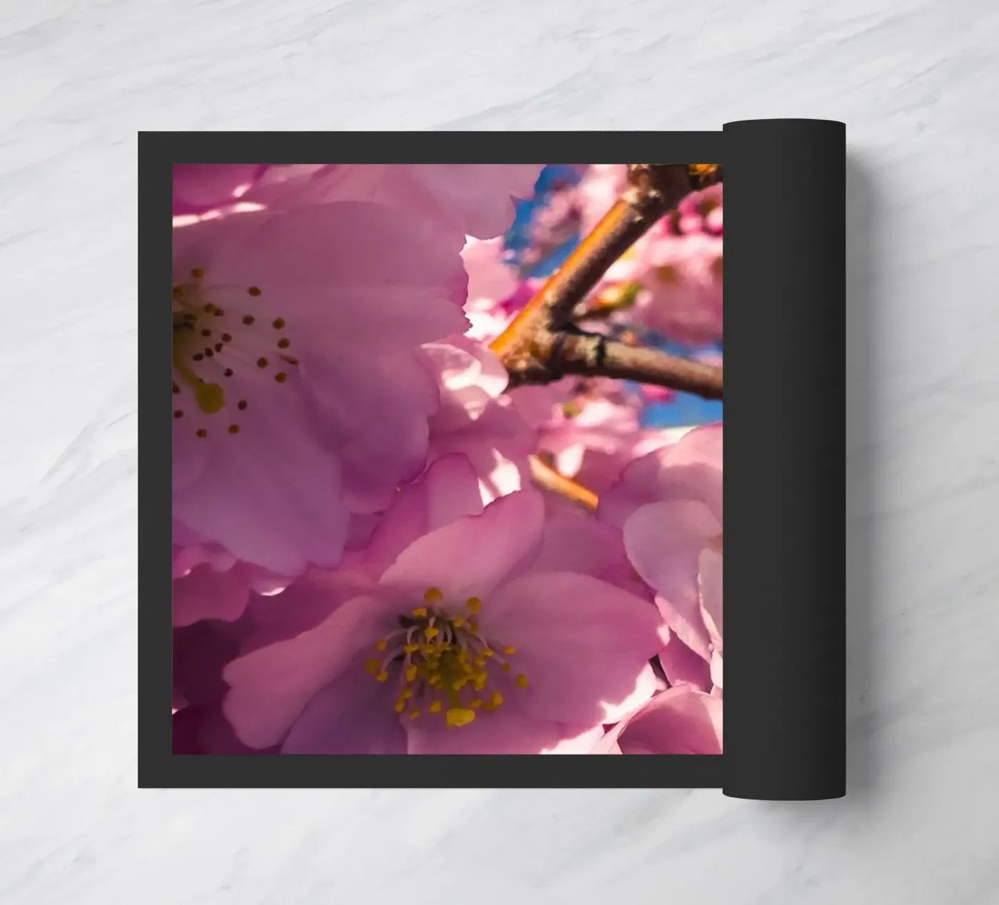 Spring in progress paillasson de Mexposure Gallery