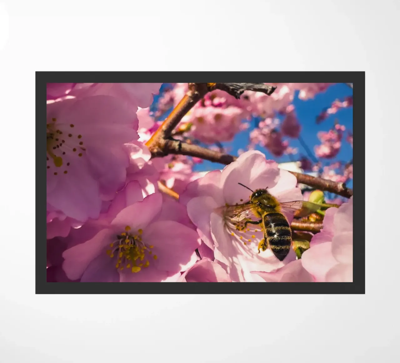 Spring in progress doormat by Mexposure Gallery