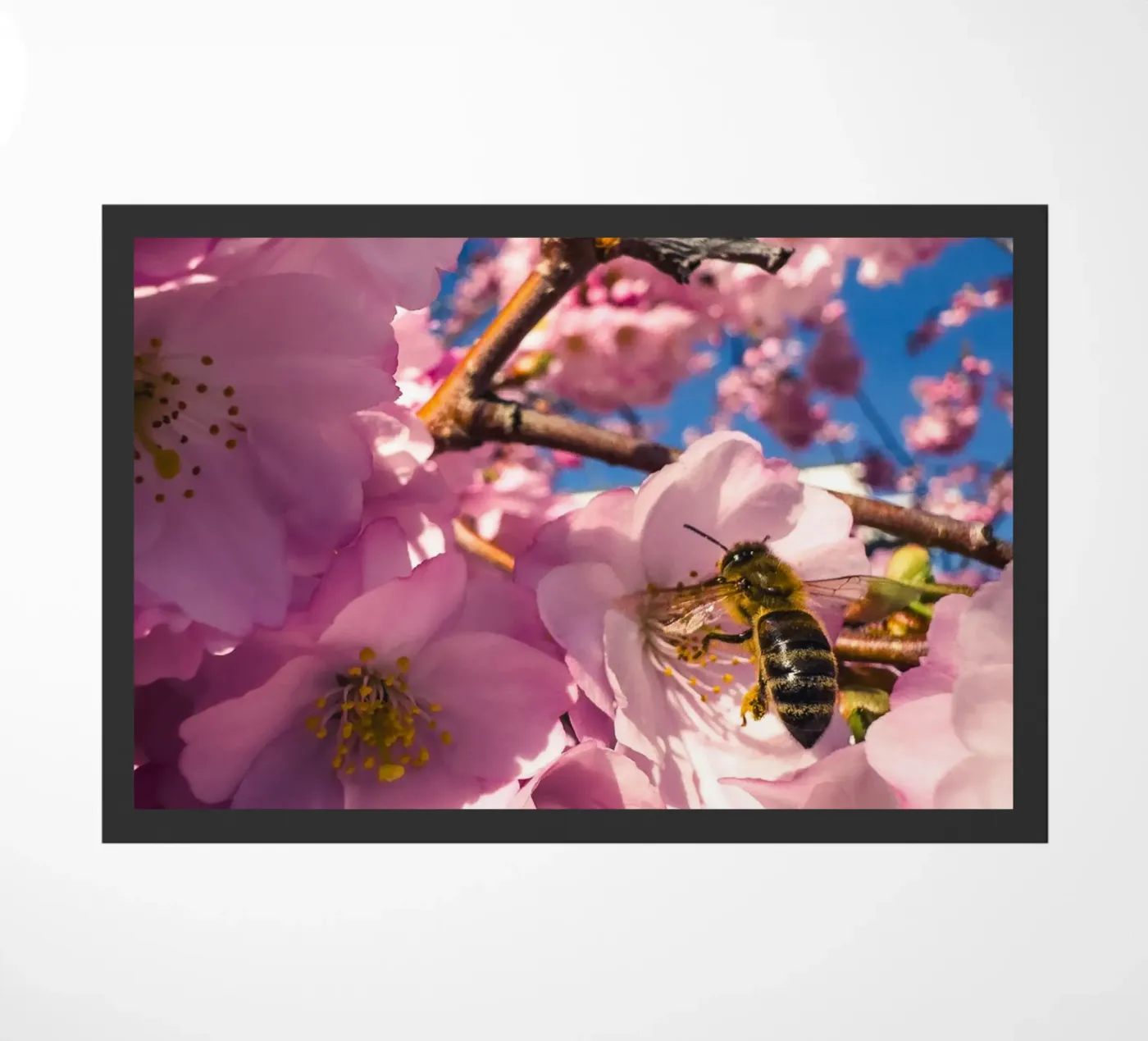 Spring in progress paillasson de Mexposure Gallery