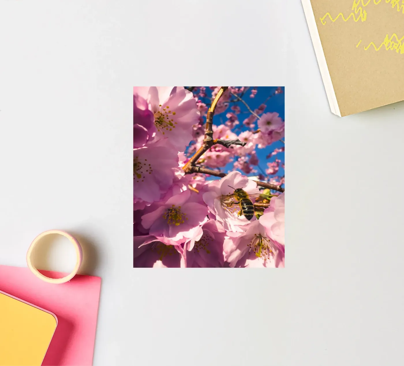 Spring in progress Sticker von Mexposure Gallery