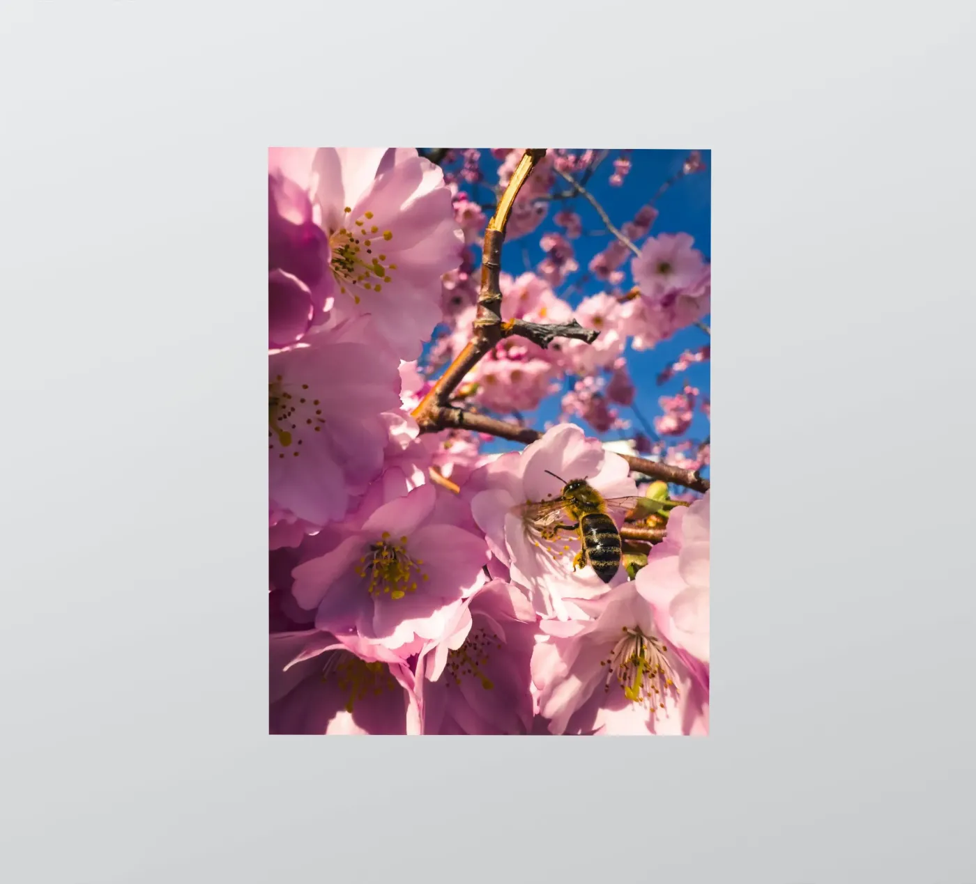 Spring in progress Sticker von Mexposure Gallery