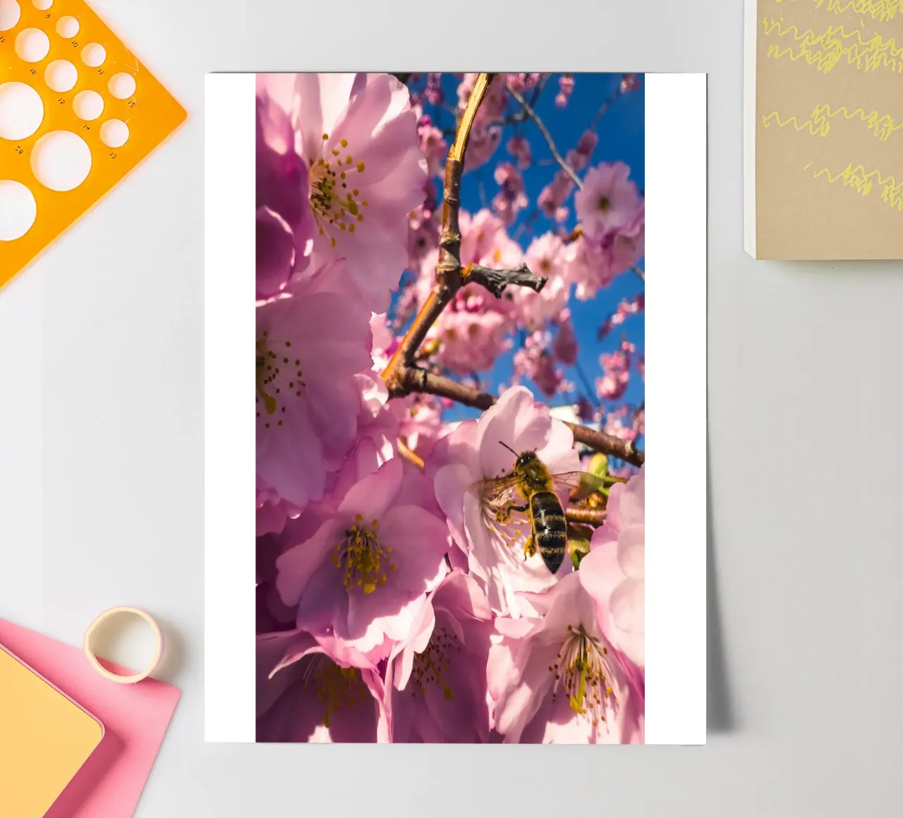 Lente in uitvoering stickervel van Mexposure Gallery