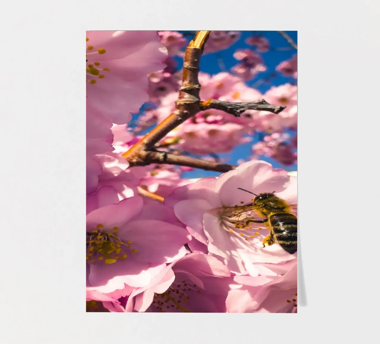 Lente in uitvoering stickervel van Mexposure Gallery