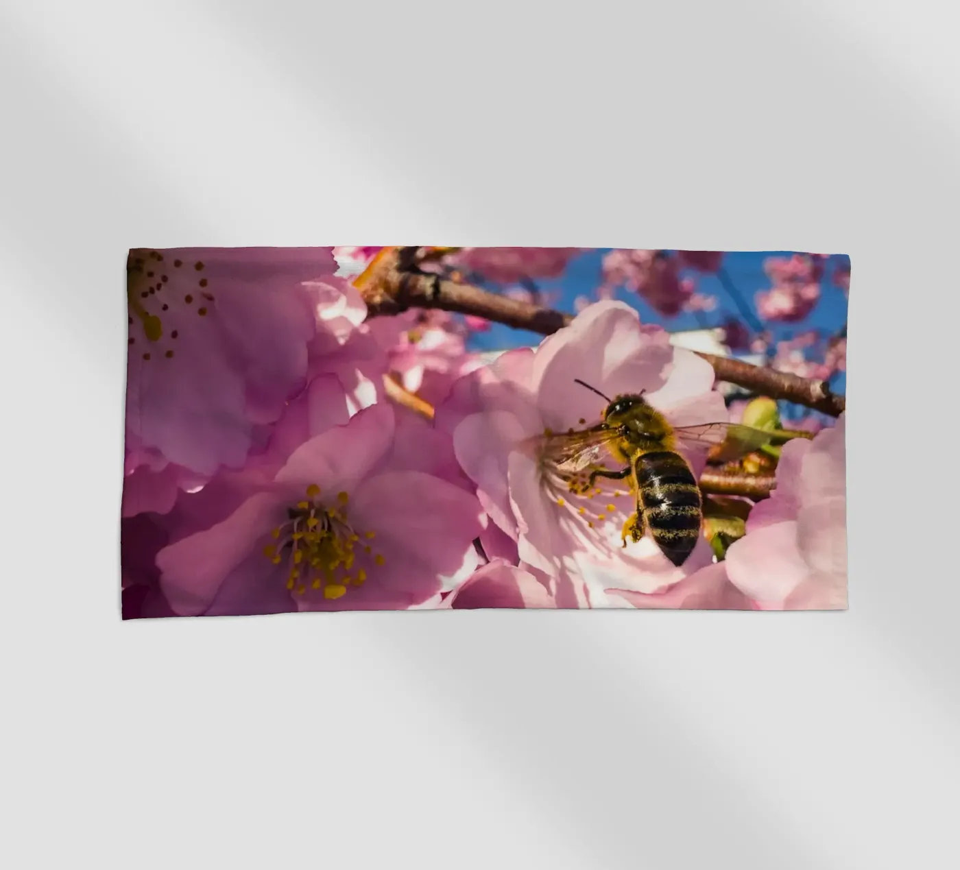 Spring in progress beach towel by Mexposure Gallery